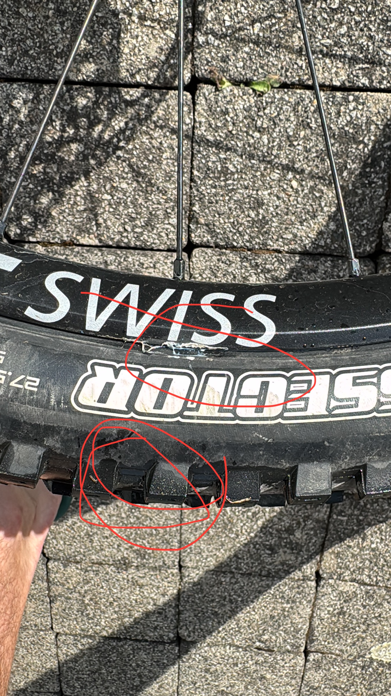 3C1979E0-9B9A-4213-B7EF-0E582A966860.jpeg
