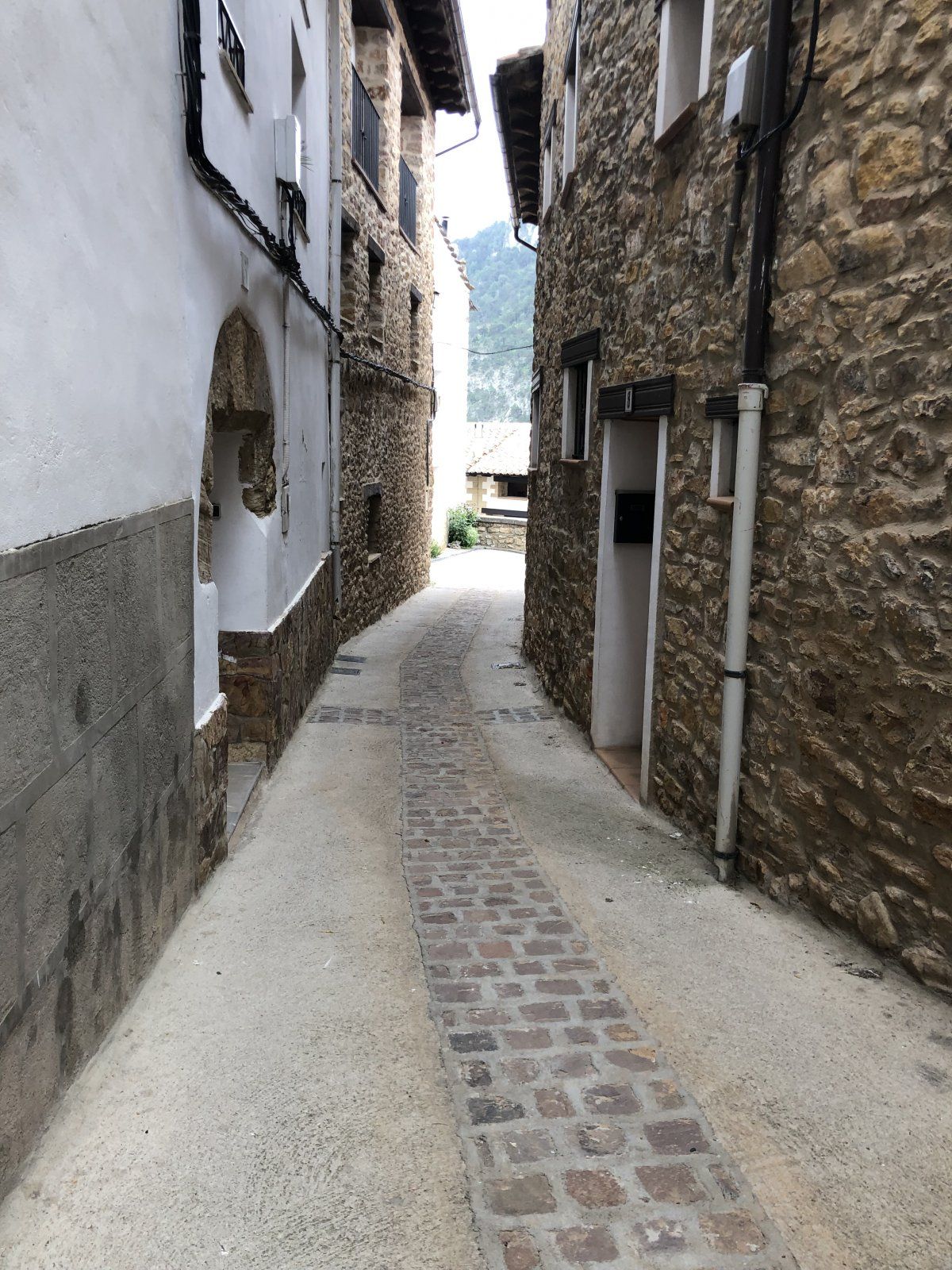 4372E5D5-D2D4-43F9-8C4C-940710213993.jpeg
