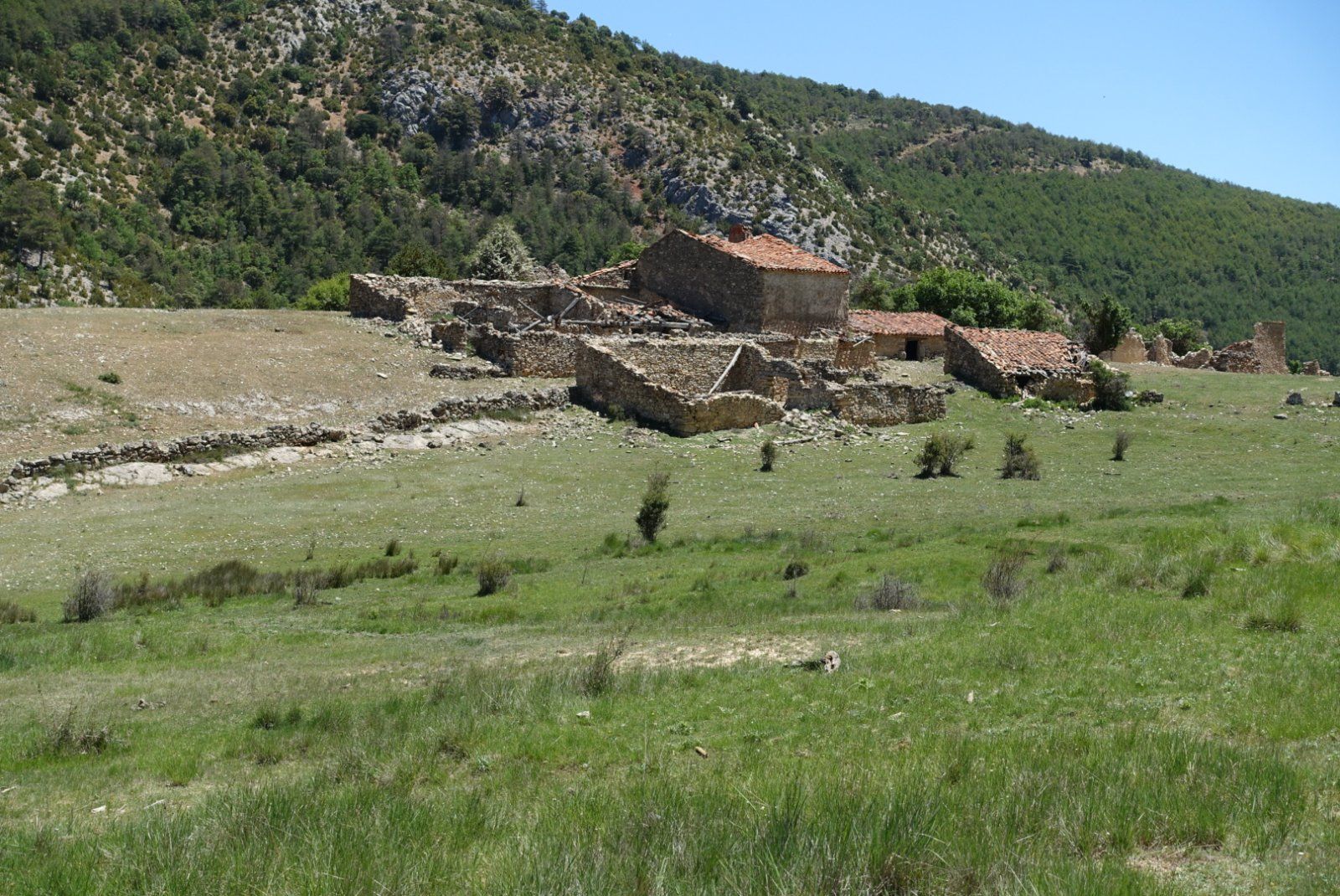 4CAD07B7-311F-4D7D-9FA6-0F9414736BFA.jpeg