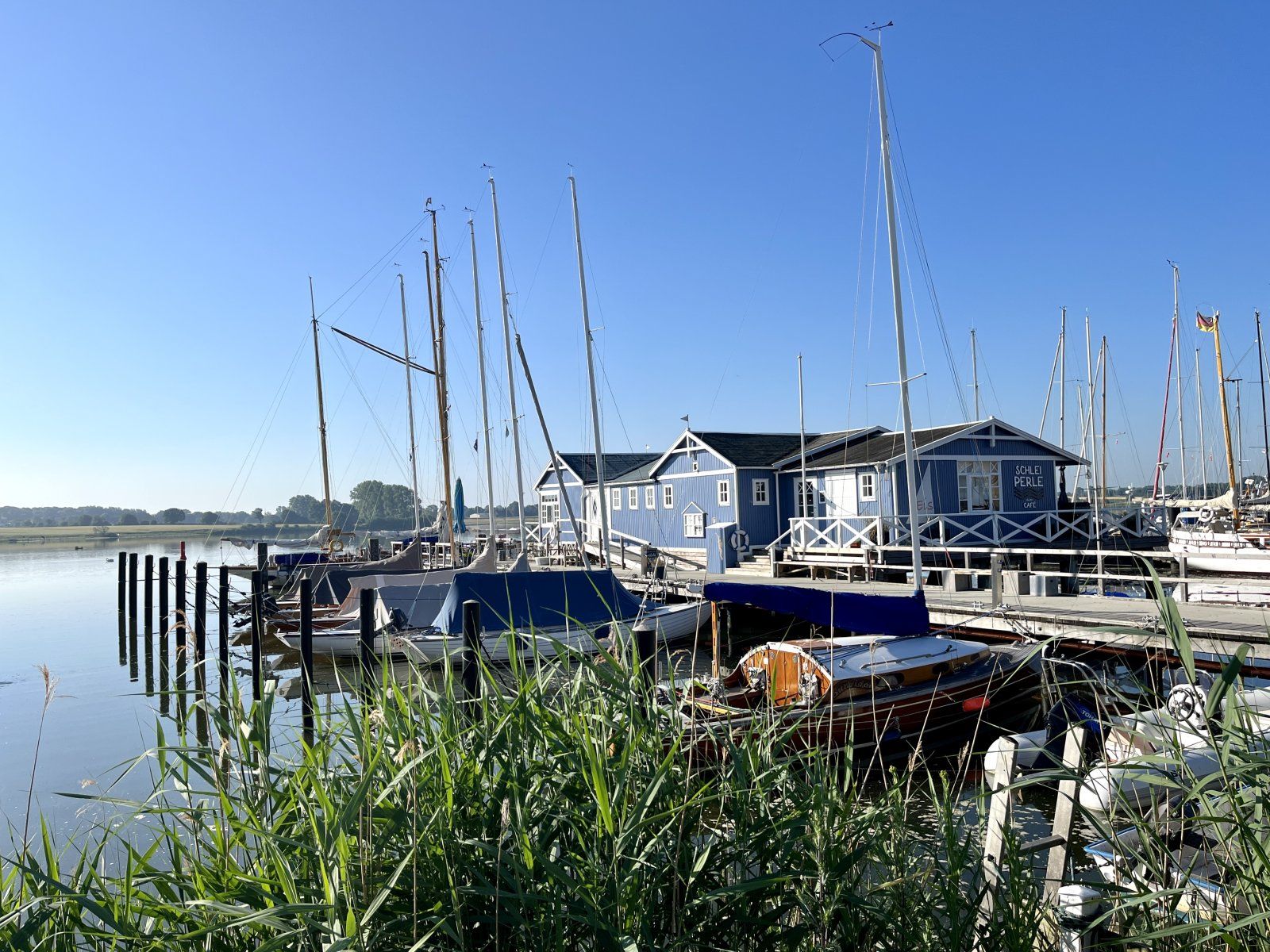 511BF114-3A37-4095-A9E0-ABC2CF384C40.jpeg