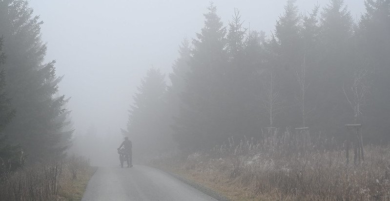 54149781129_1a8cbc839f_c.jpg
