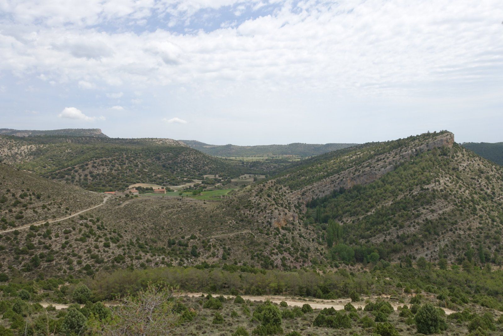 5C680AB0-0186-4905-BBF0-49161AC55E76.jpeg
