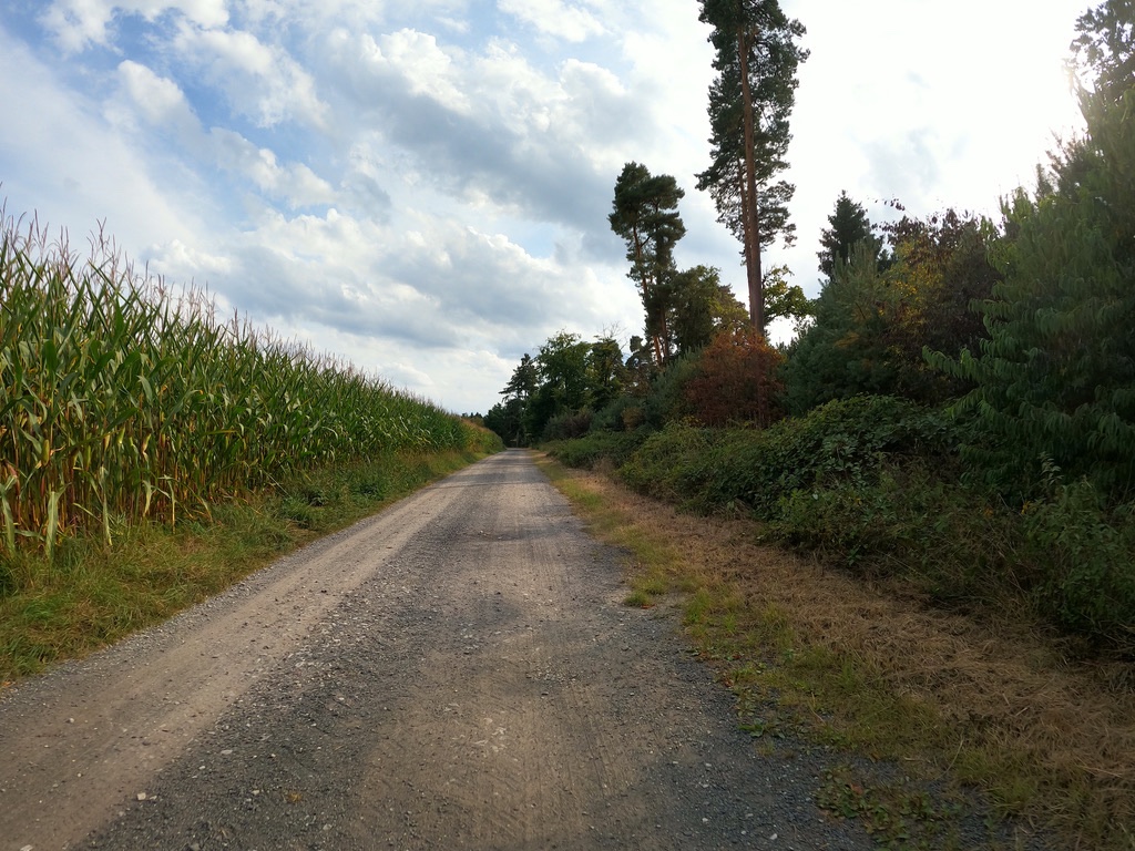 5F96864D-1C85-4F34-B5B9-2F10D3BFA275_1_105_c.jpeg