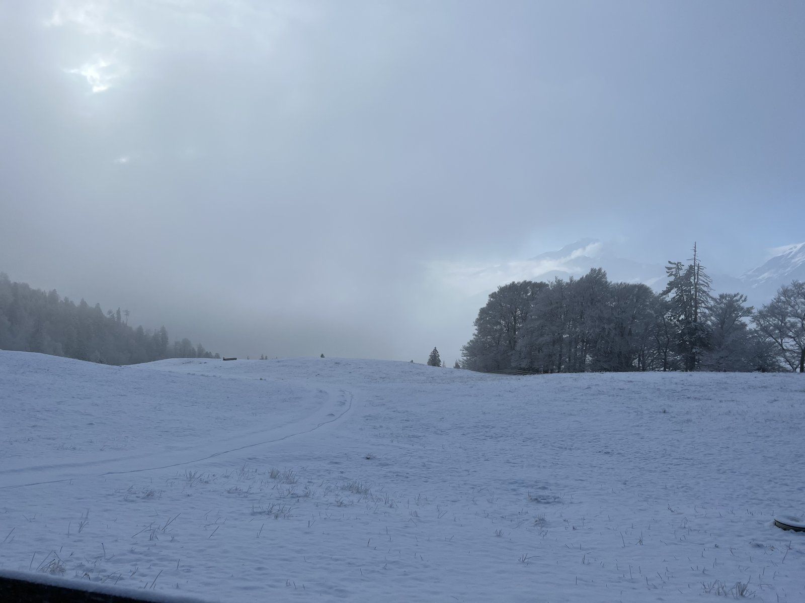 69055A6F-B03F-4AF9-87C2-D07B489D8D67.jpeg