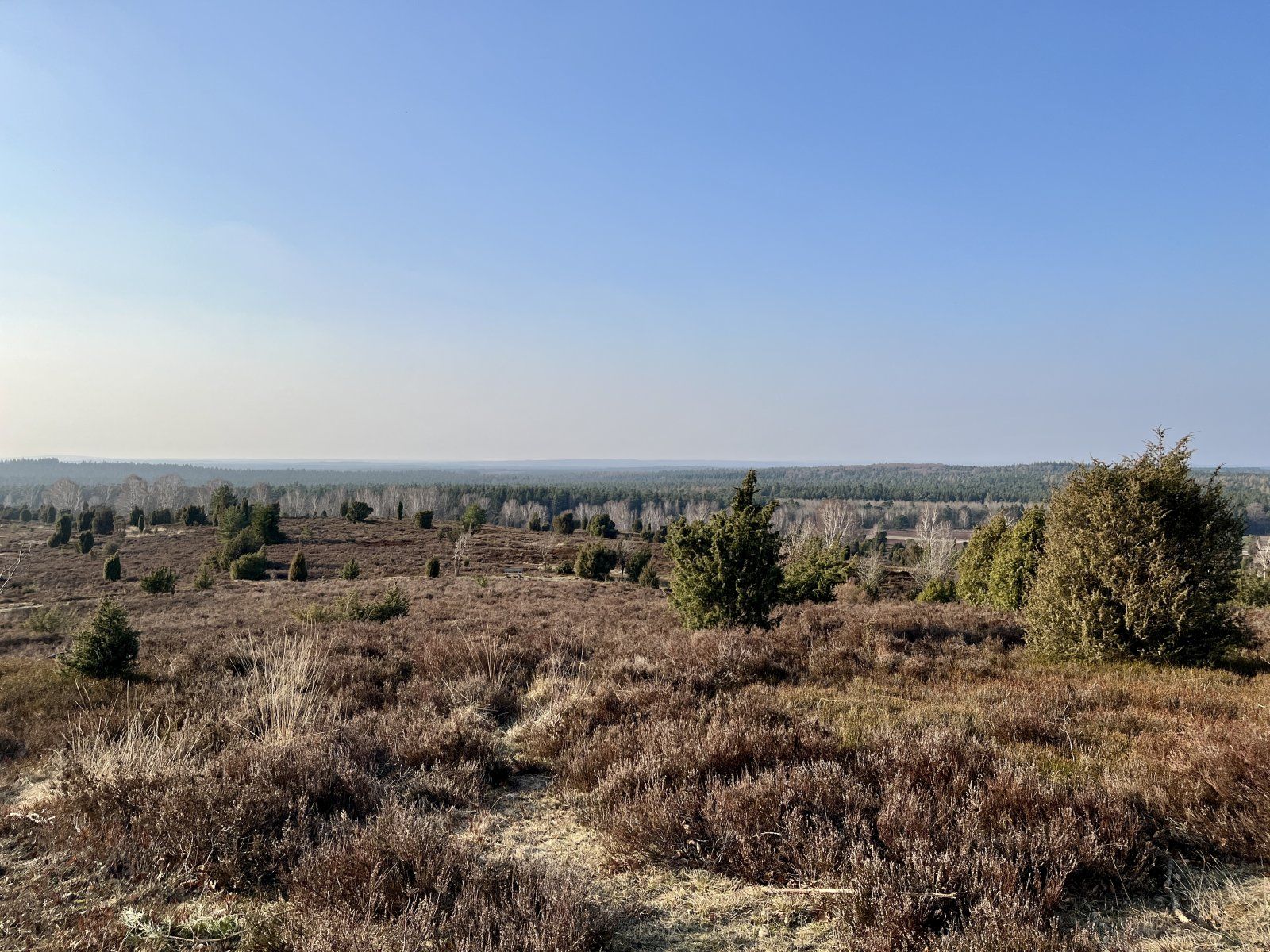 71BD2865-8580-4BFC-BE78-06B1E02F2146.jpeg