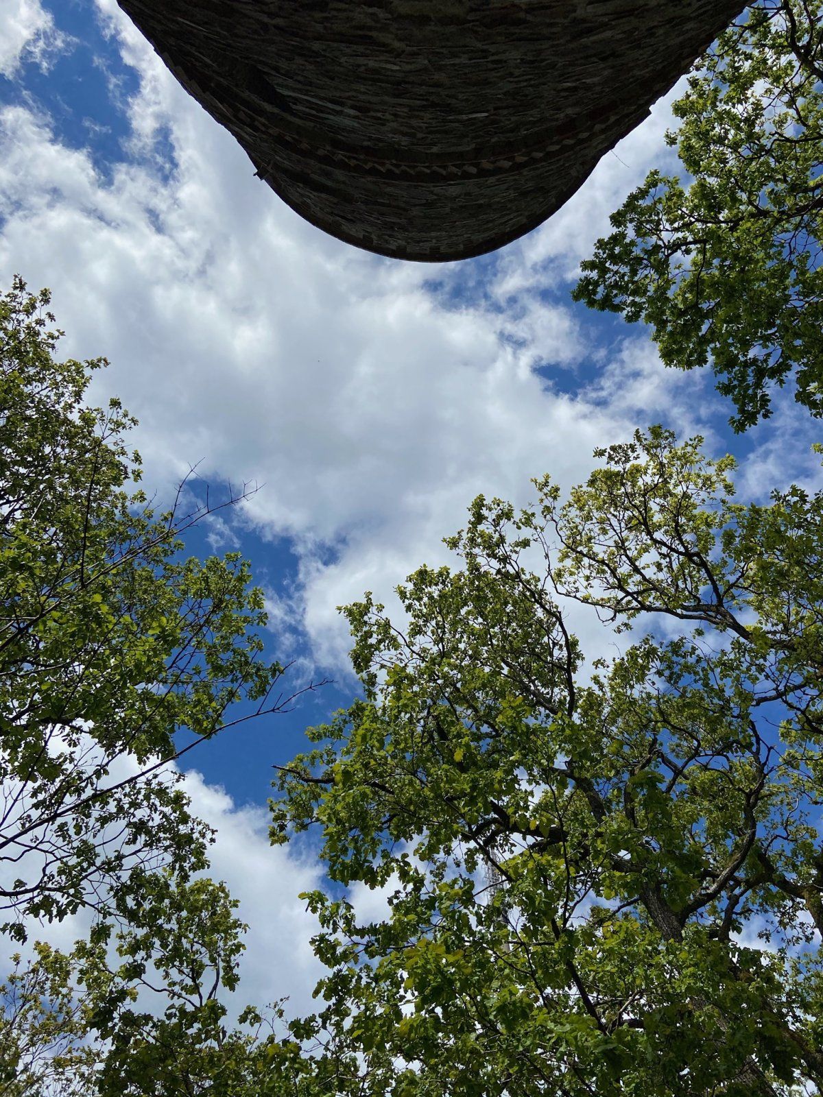 7EAC9B32-815C-4F77-A650-62FA447CA742.jpeg