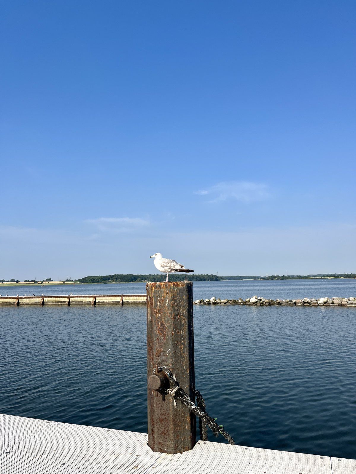 8645AC96-25A4-482B-9D92-65896D59B504.jpeg