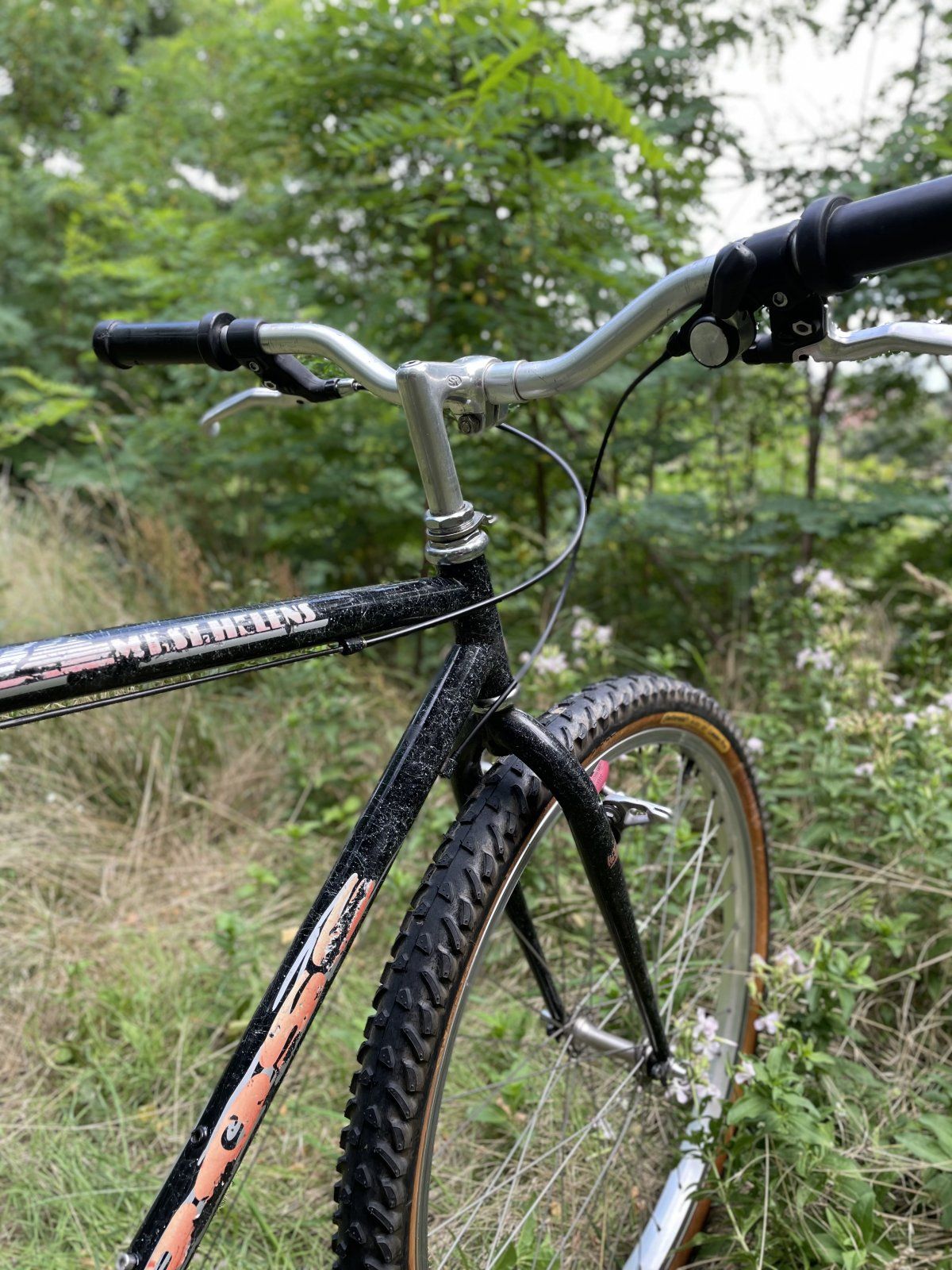 8878F260-E916-4B33-80CD-421F952958D2.jpeg 8878F260-E916-4B33-80CD-421F952958D2.jpeg