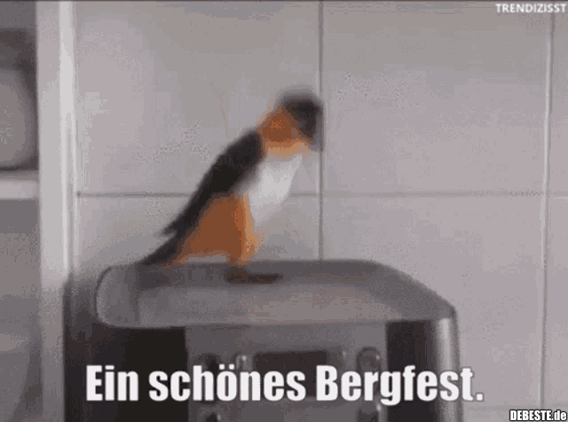 88901E64-8004-4326-982D-EDE80A1ADCC1.gif