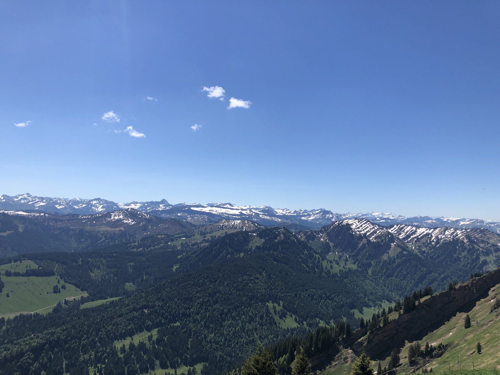 93562FD6-B597-411C-9AC7-015B142E3F69.jpeg