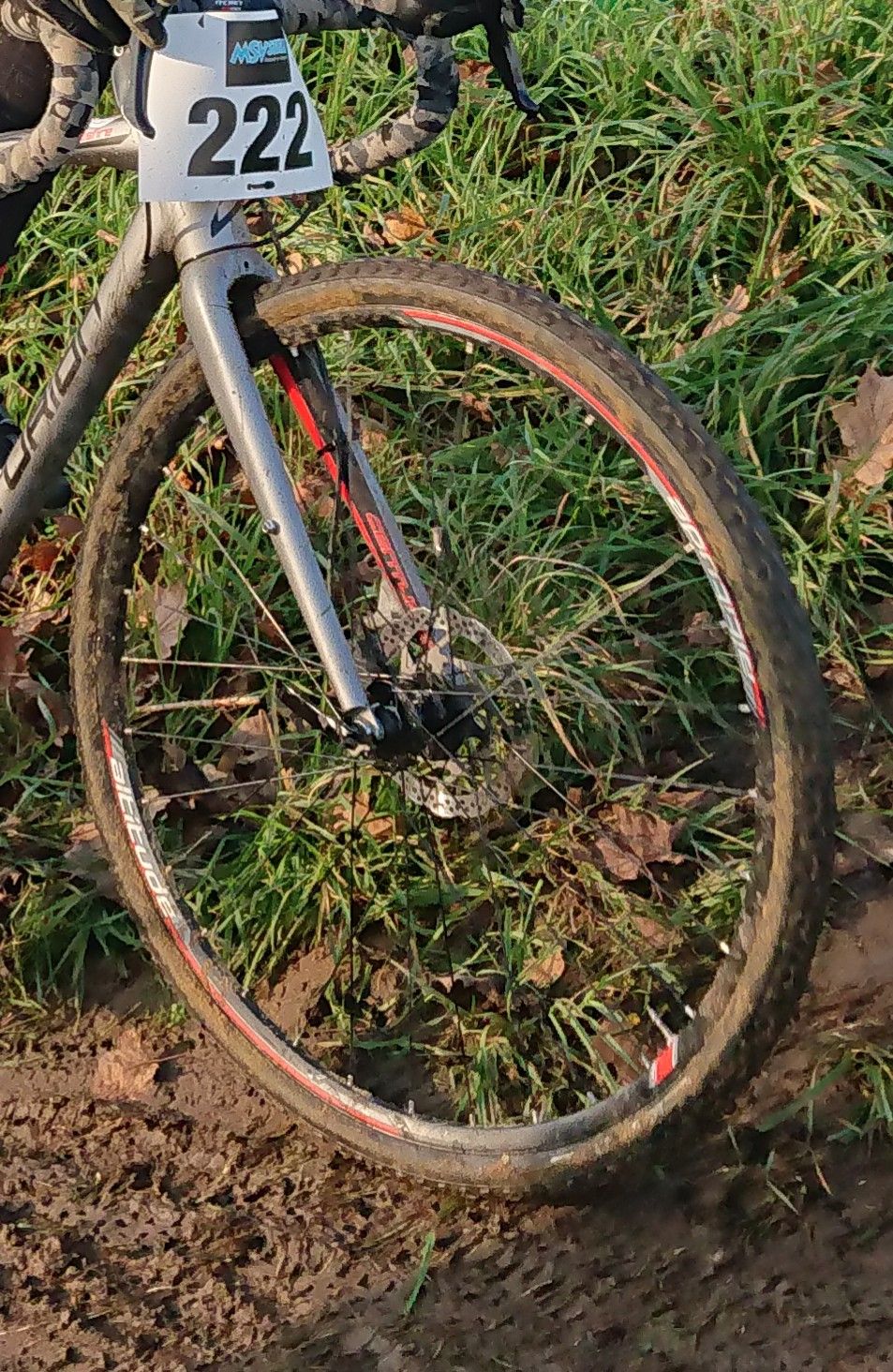 _20200802_231550.JPG