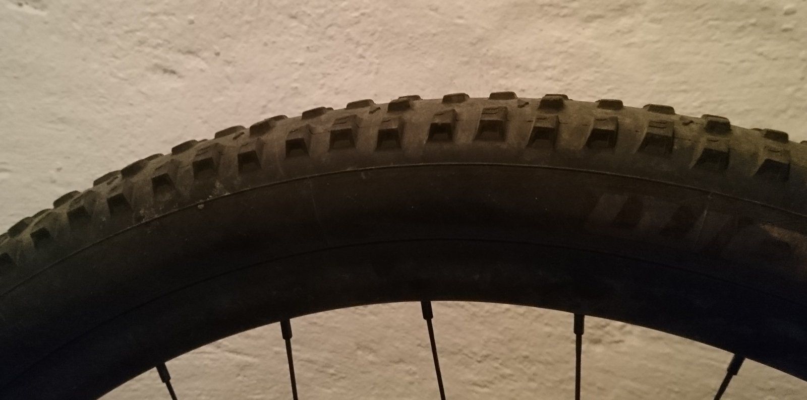 _20200818_123501.JPG