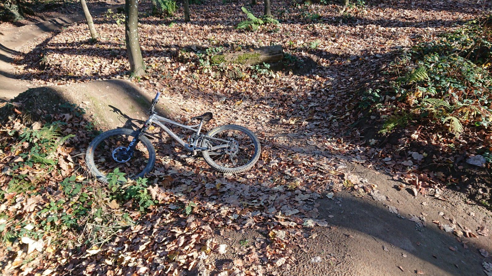 _20201115_120130.JPG