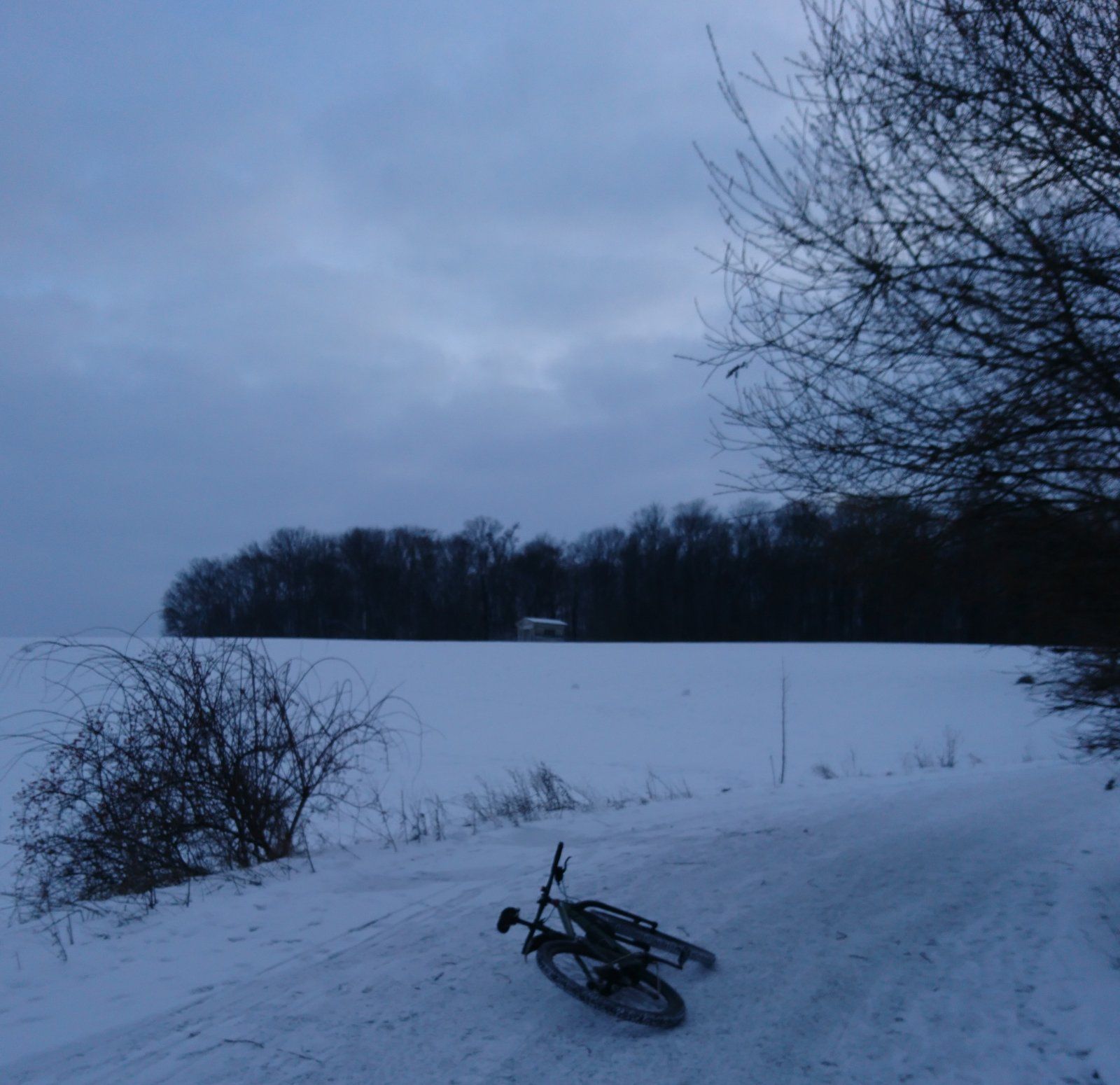 _20210116_173150.JPG