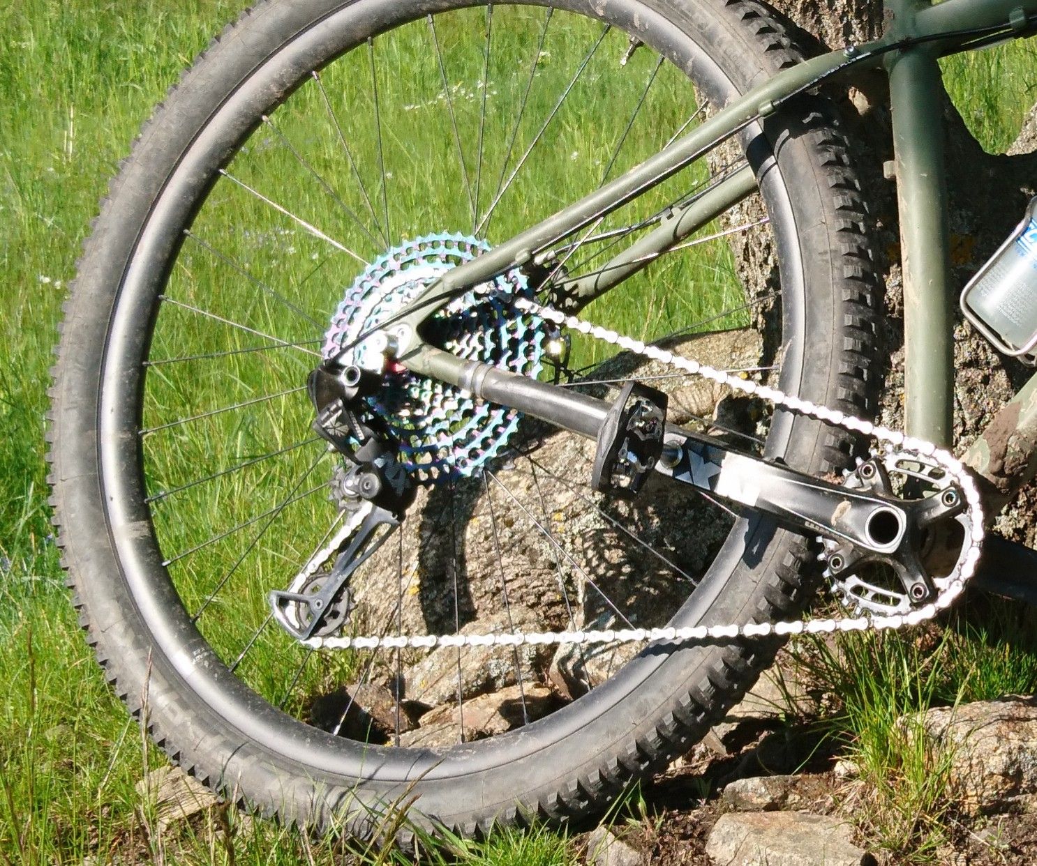 _20210601_104413.JPG