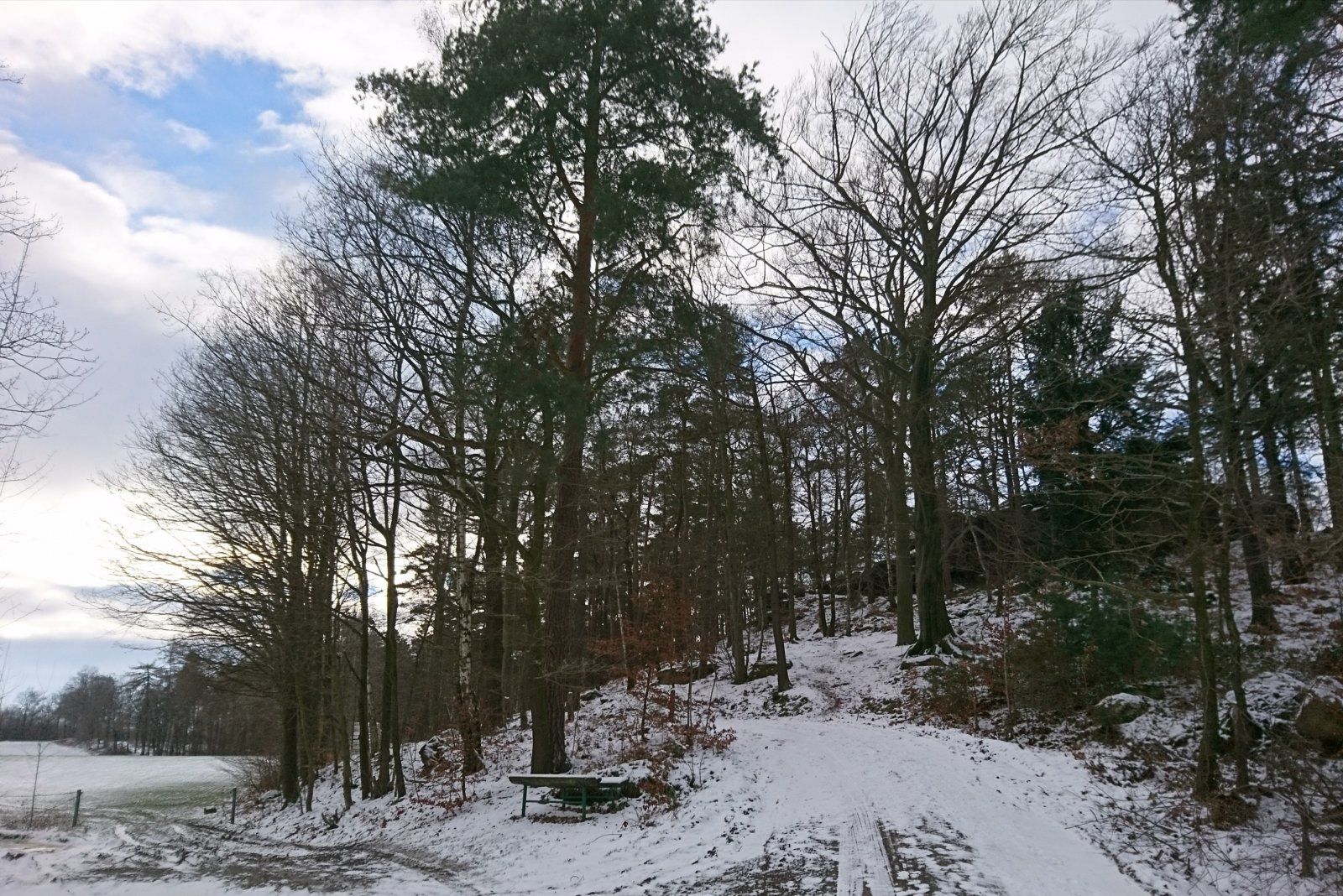 _20220110_170739.JPG