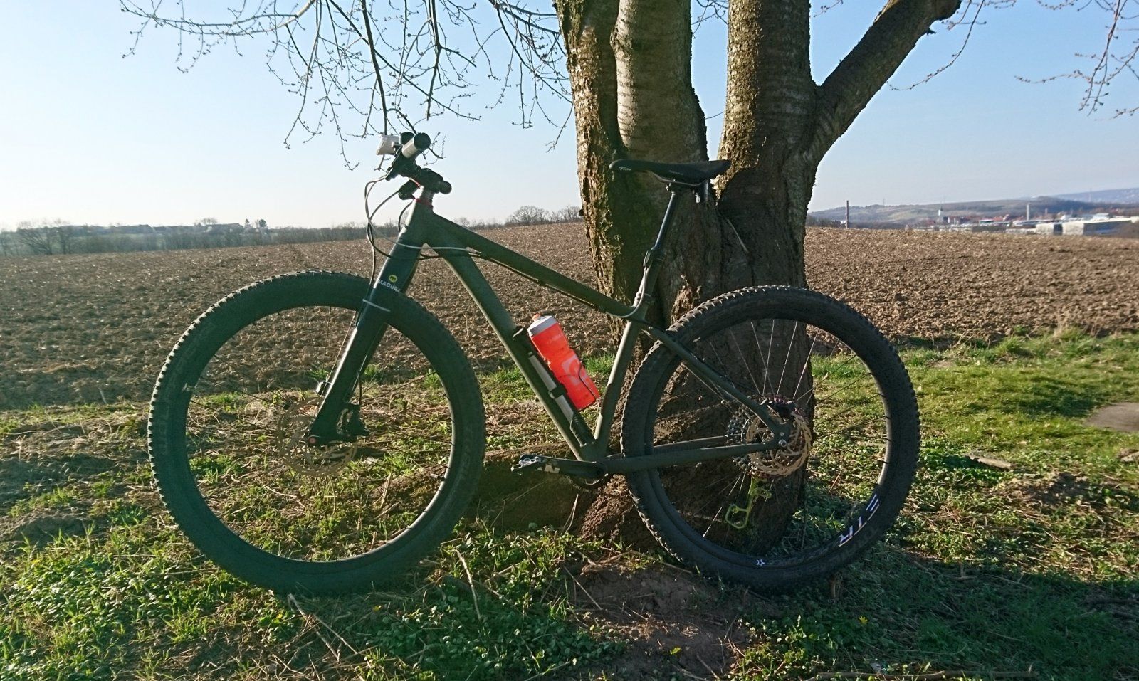 _20220327_173516.JPG