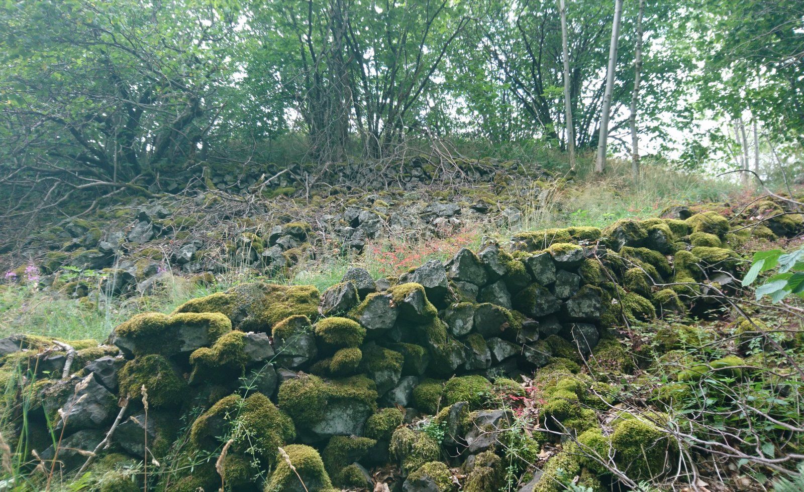 _20230818_152224.JPG