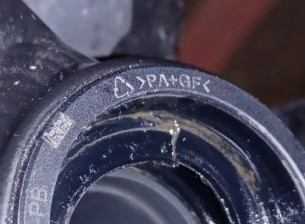 _20241009_084843.JPG