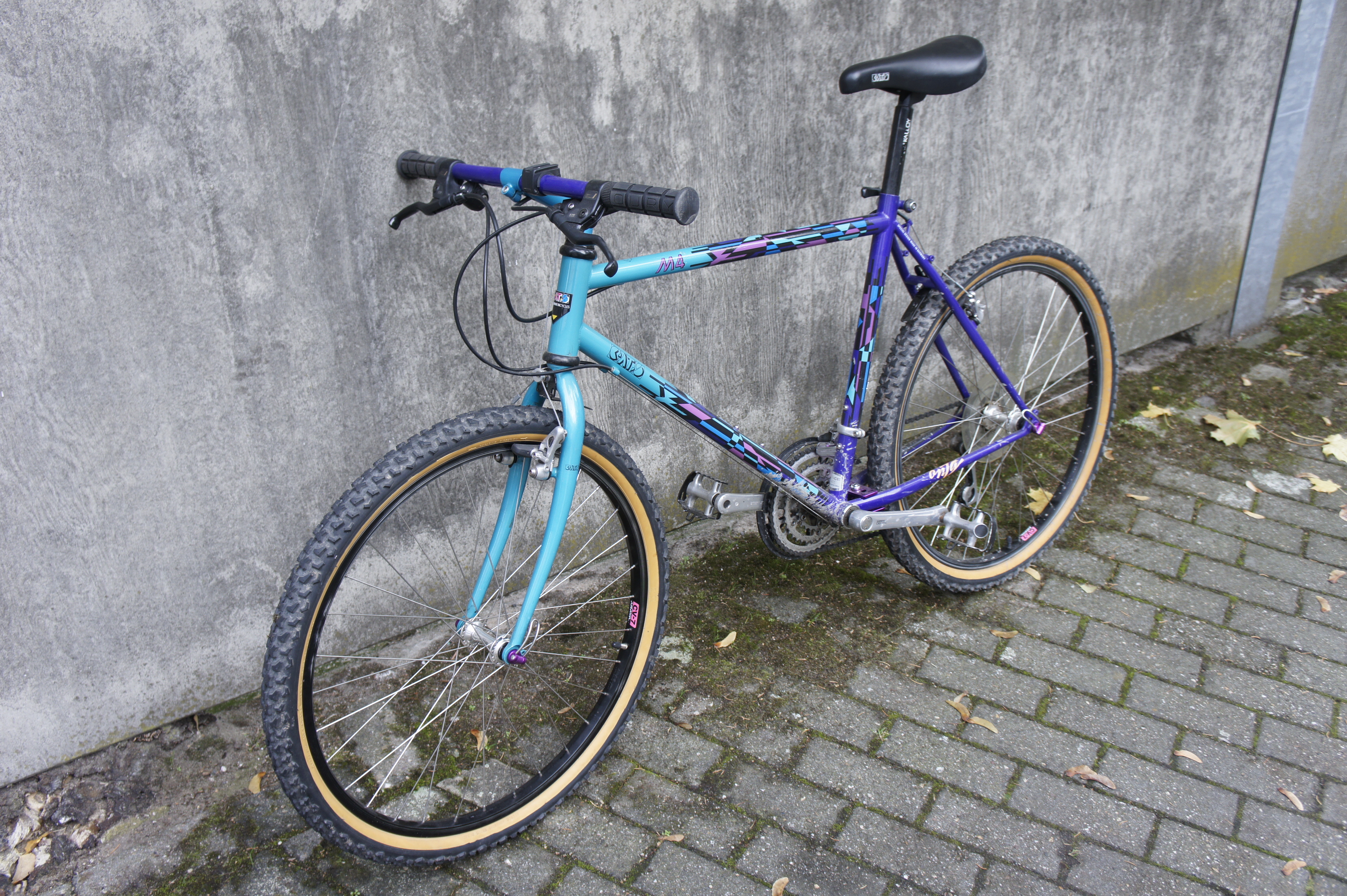 _DSC1633.jpeg