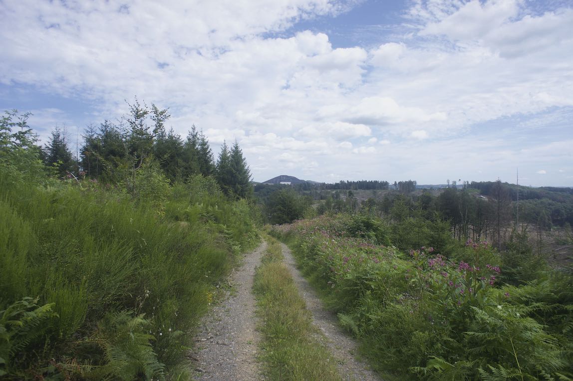 _DSC2296.jpeg