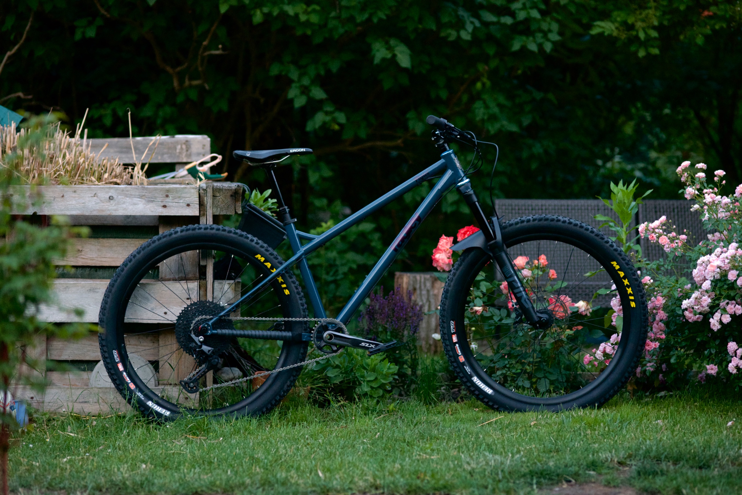 _DSC2401 (1).jpeg