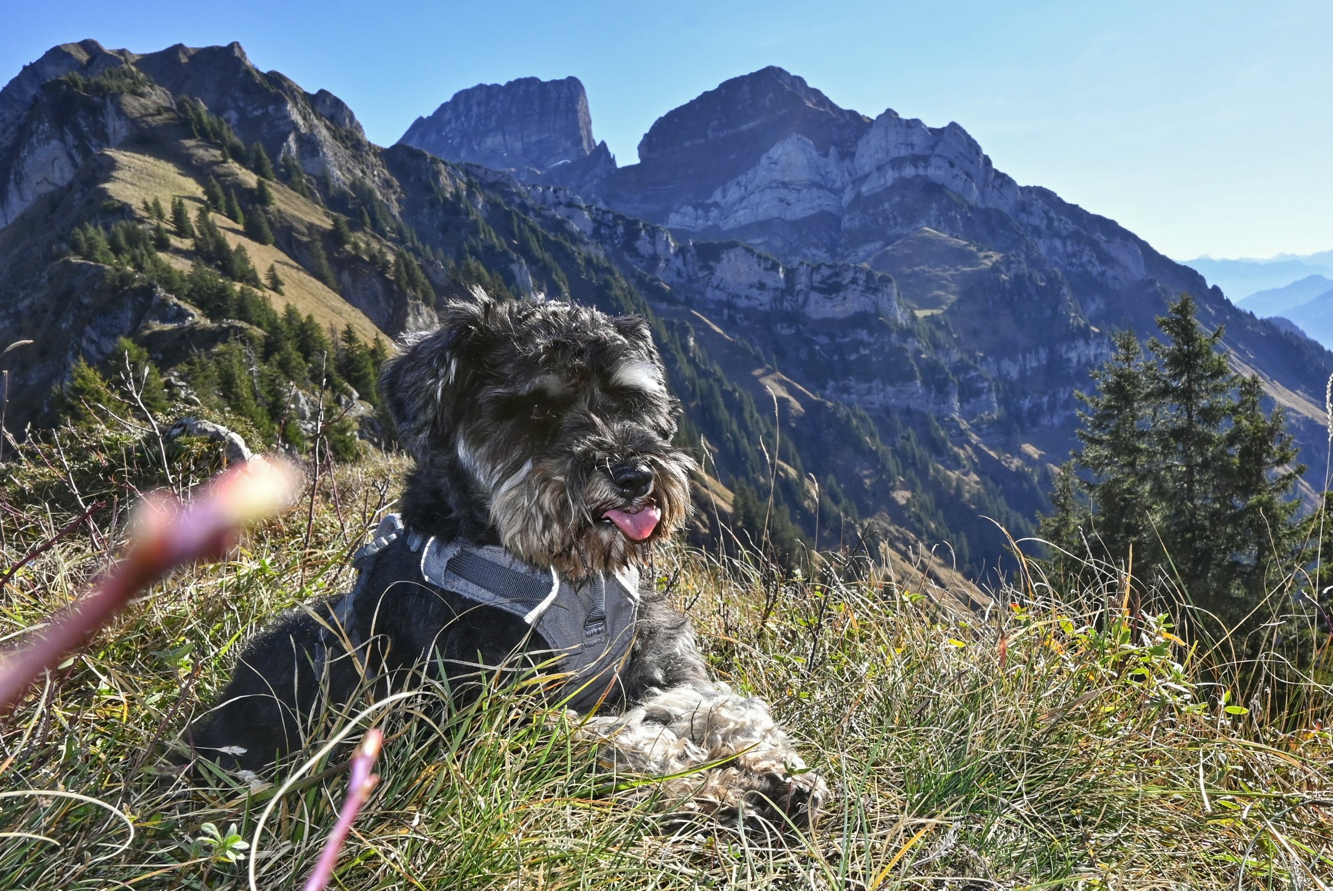 _DSC5291-01.jpeg