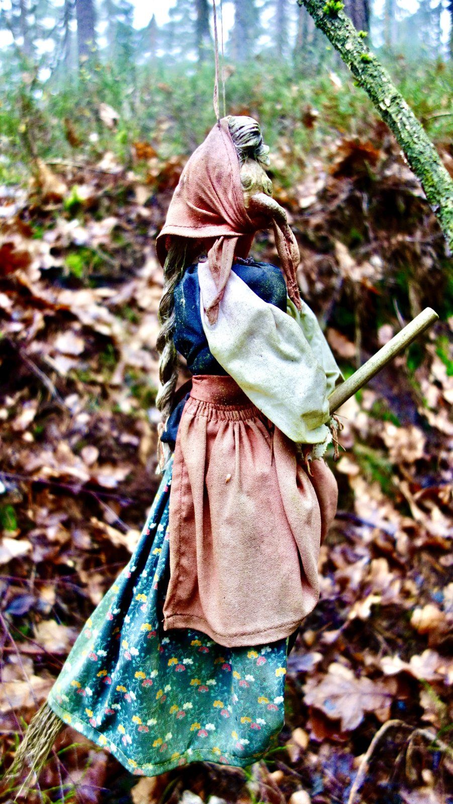 _DSC5308.jpeg