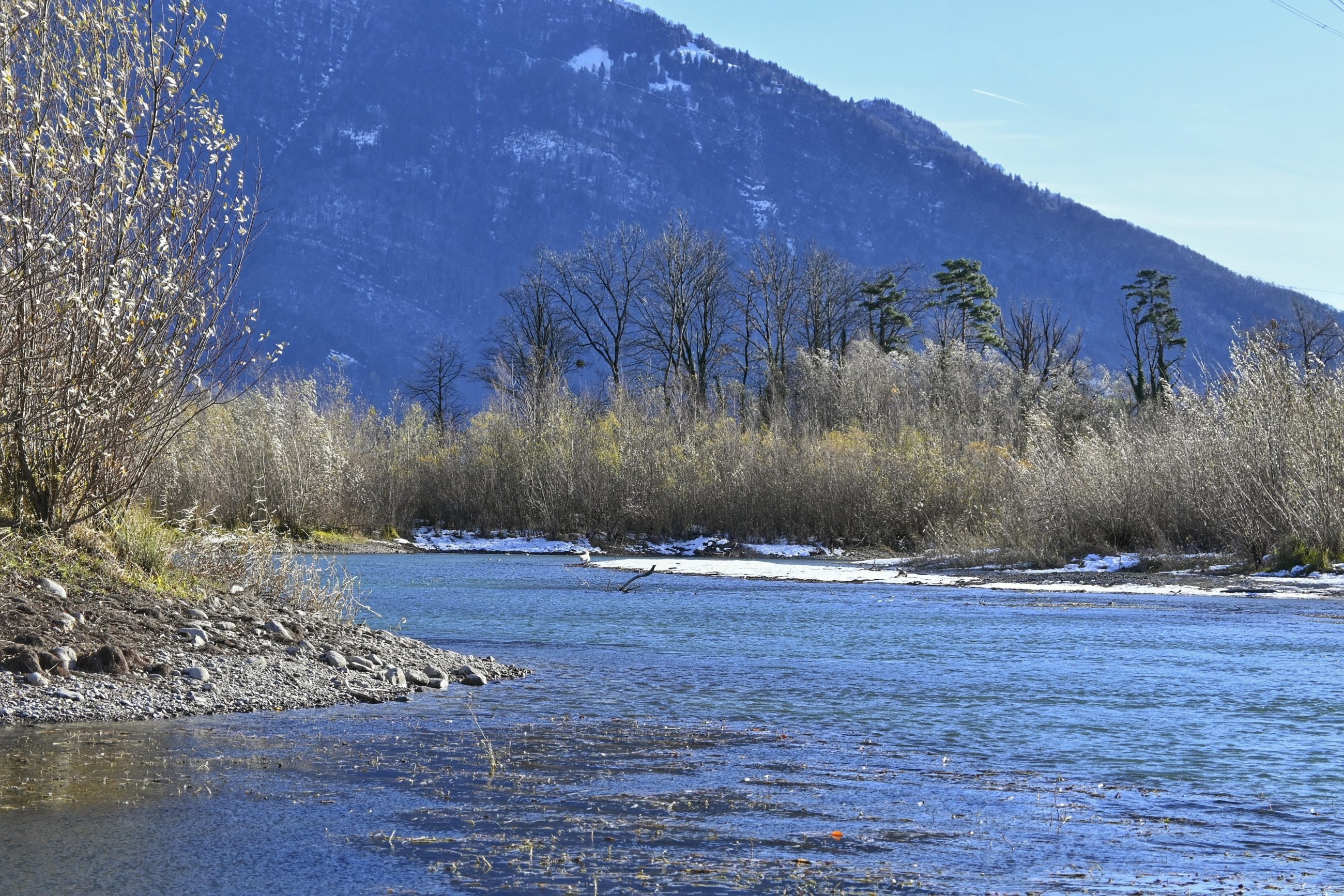 _DSC5372-01~3.jpeg
