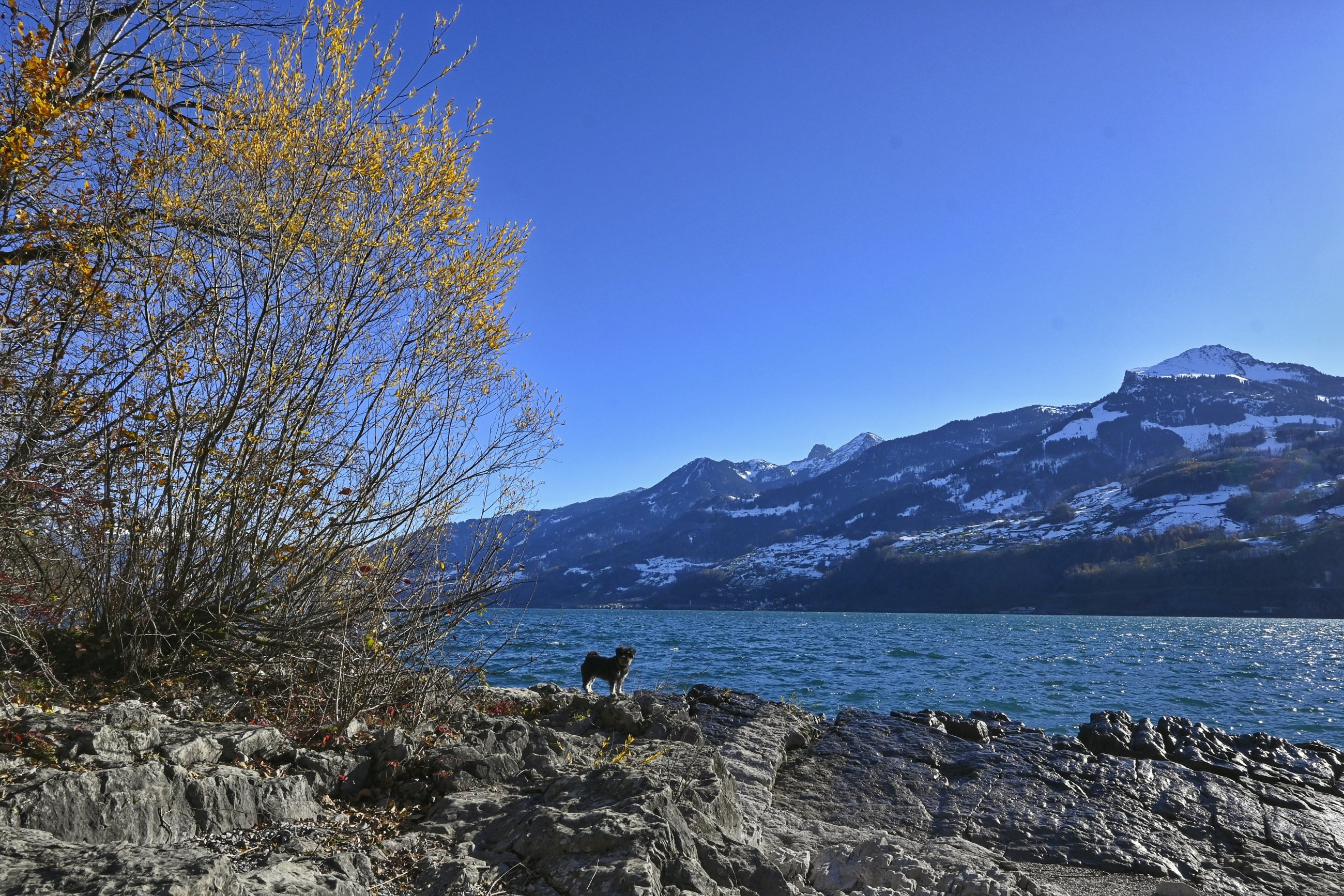 _DSC5378-01.jpeg