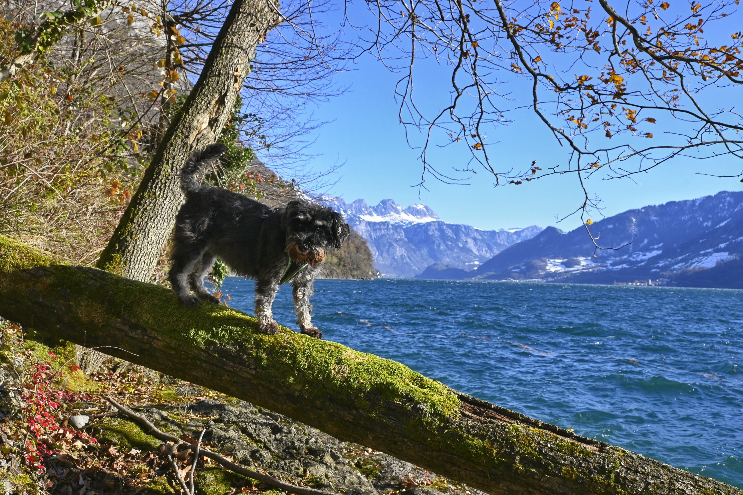 _DSC5383-01.jpeg