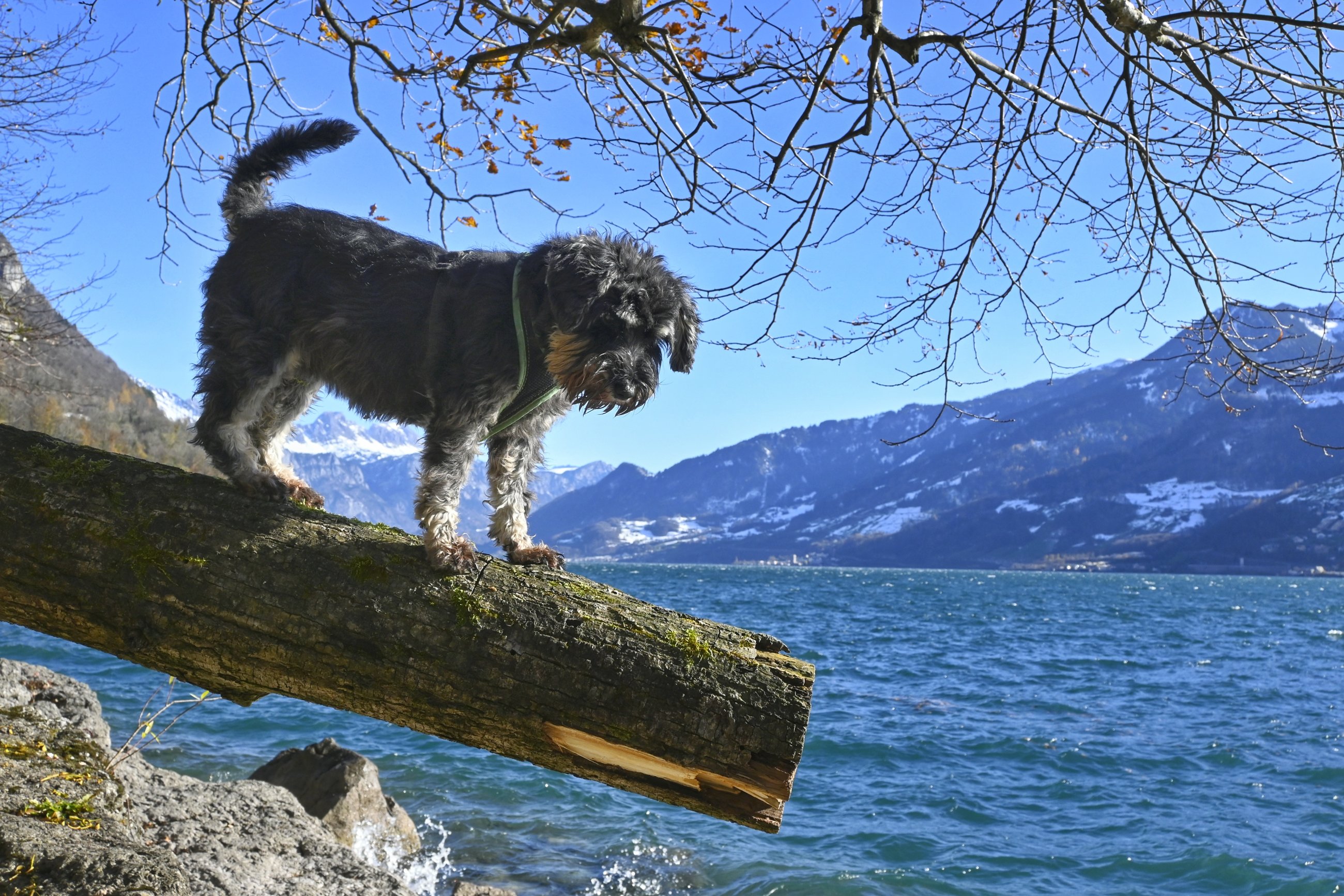 _DSC5384-01.jpeg