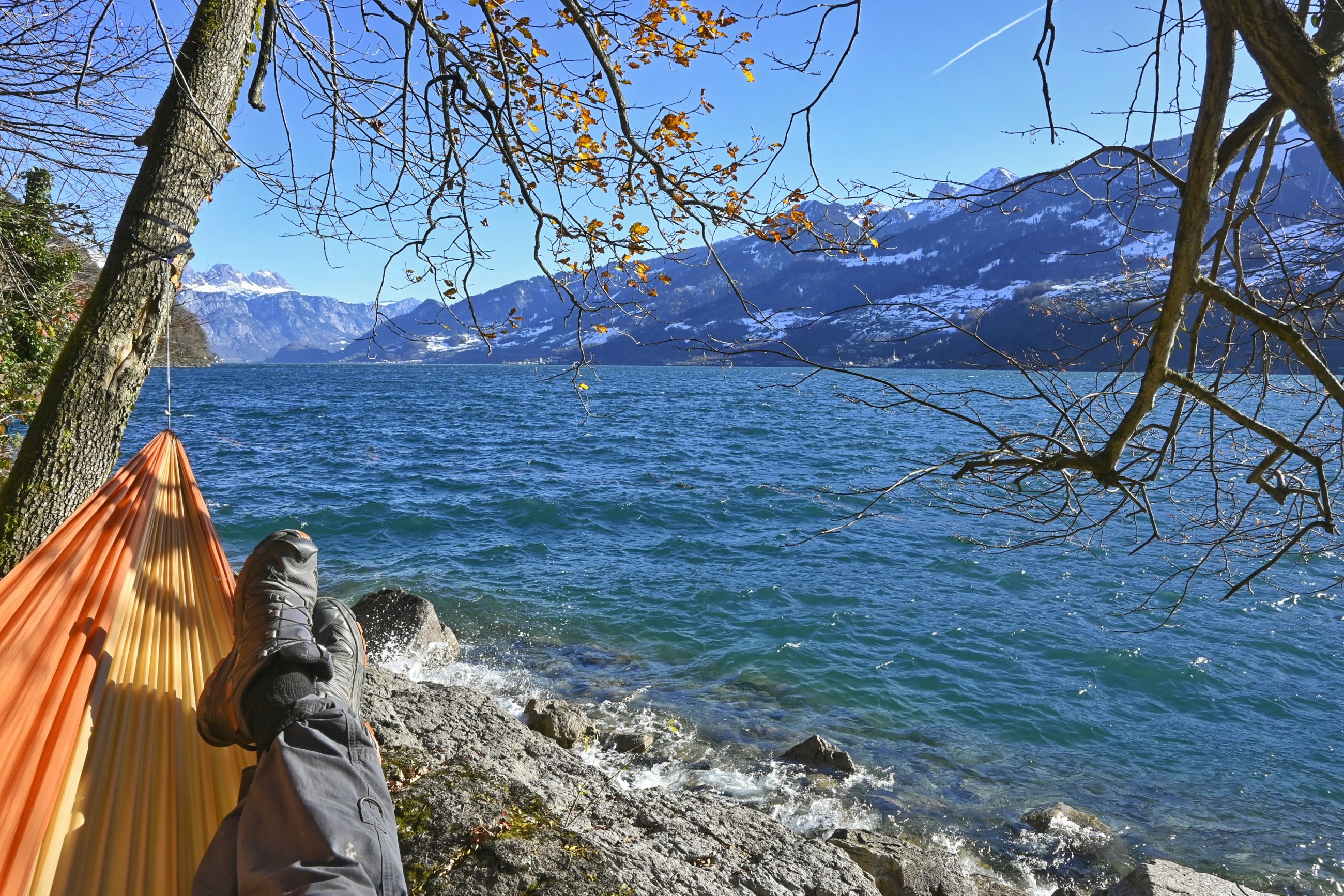 _DSC5387-01.jpeg