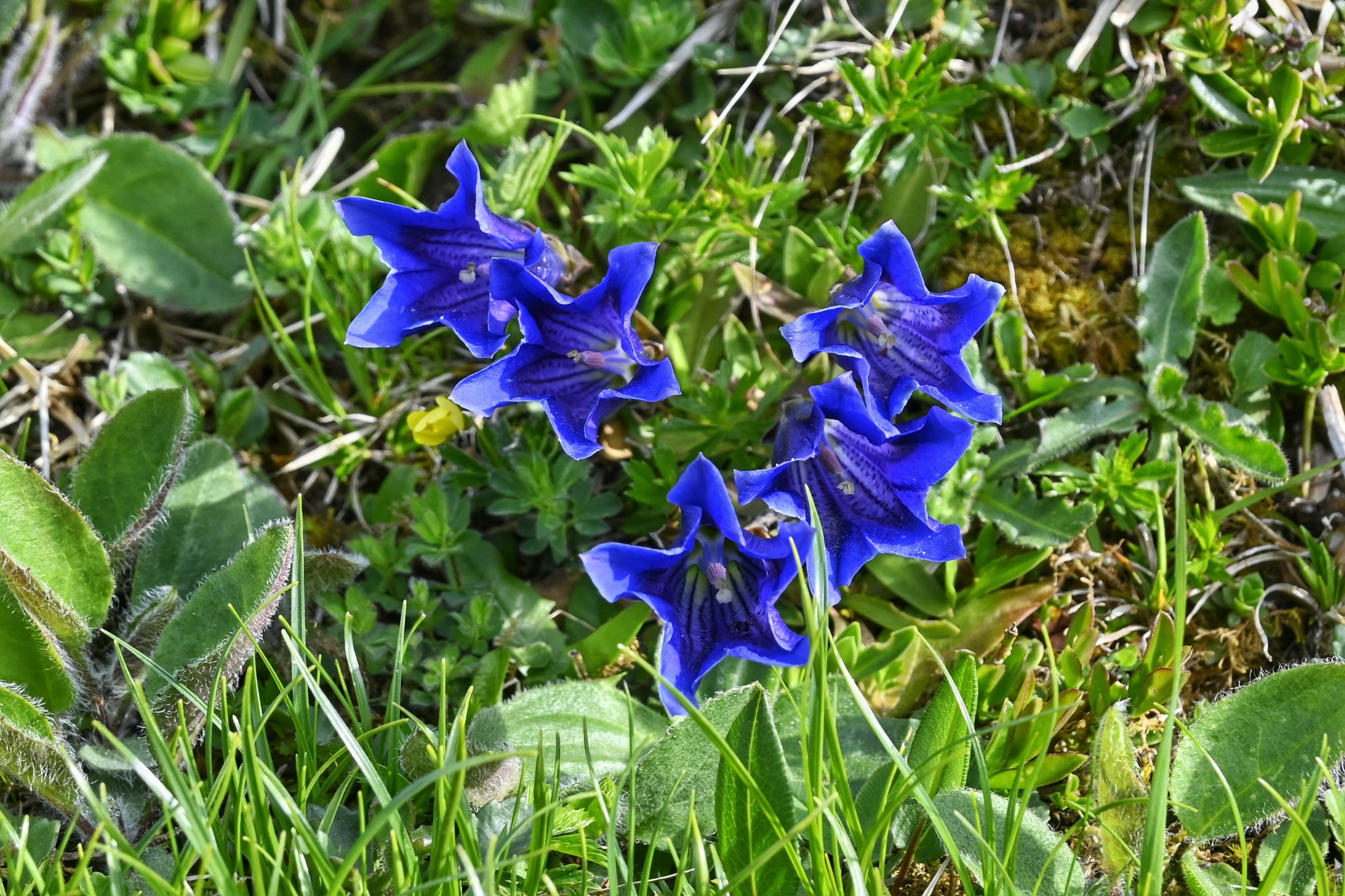 _DSC6772-01.jpeg