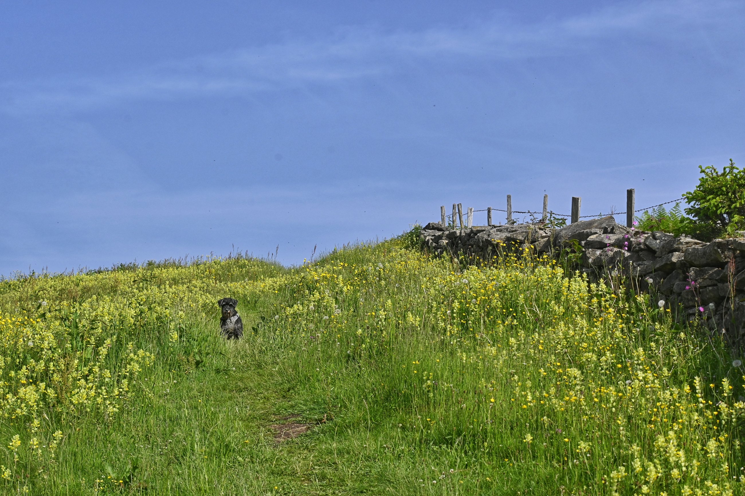 _DSC6830-01.jpeg