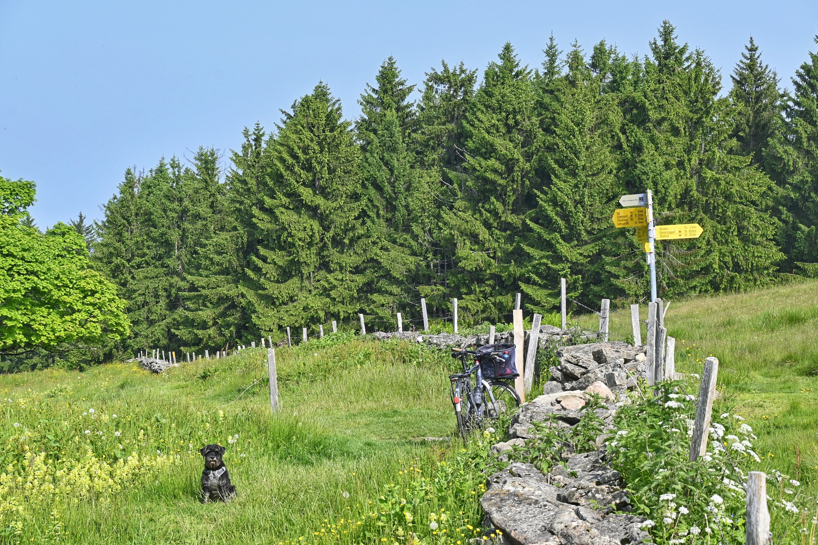 _DSC6837-01.jpeg