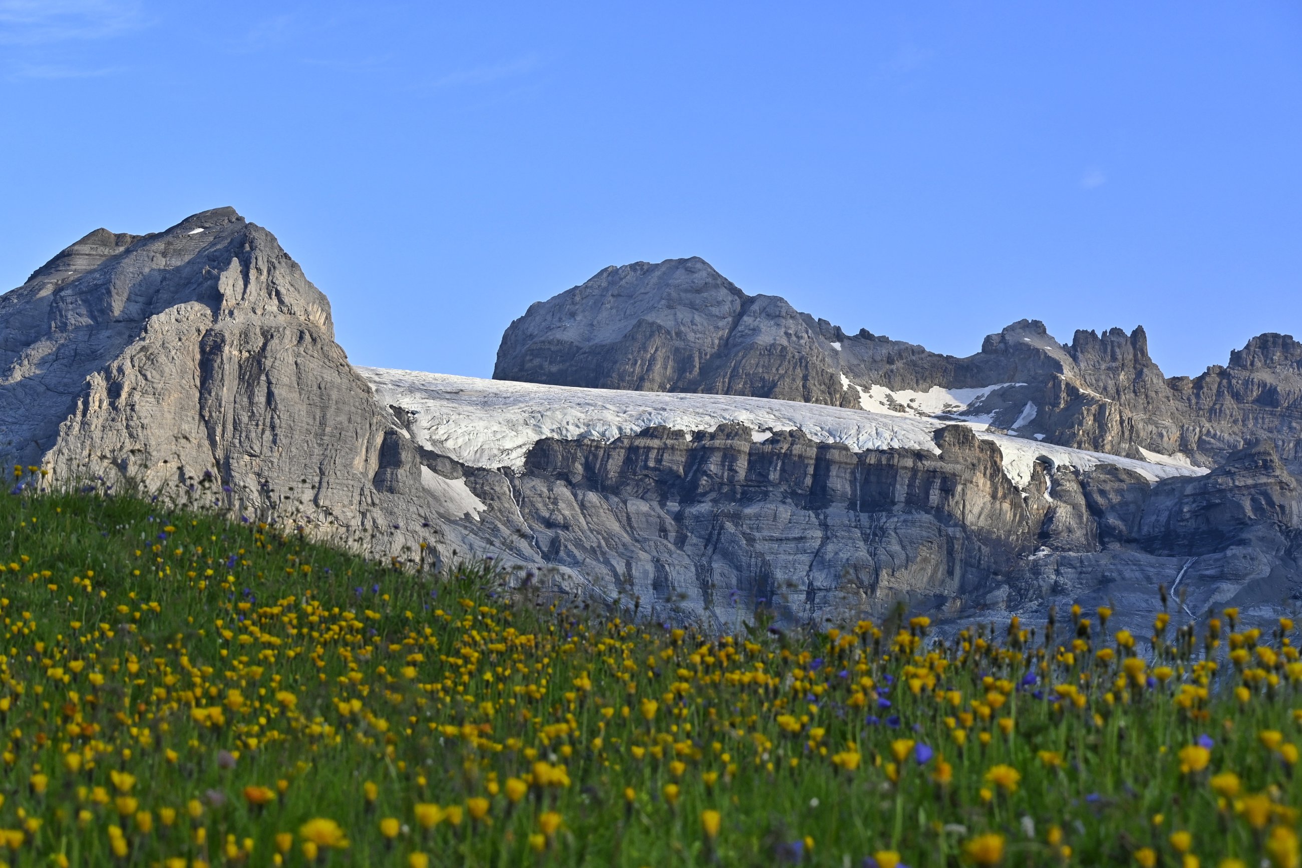 _DSC7111-01.jpeg