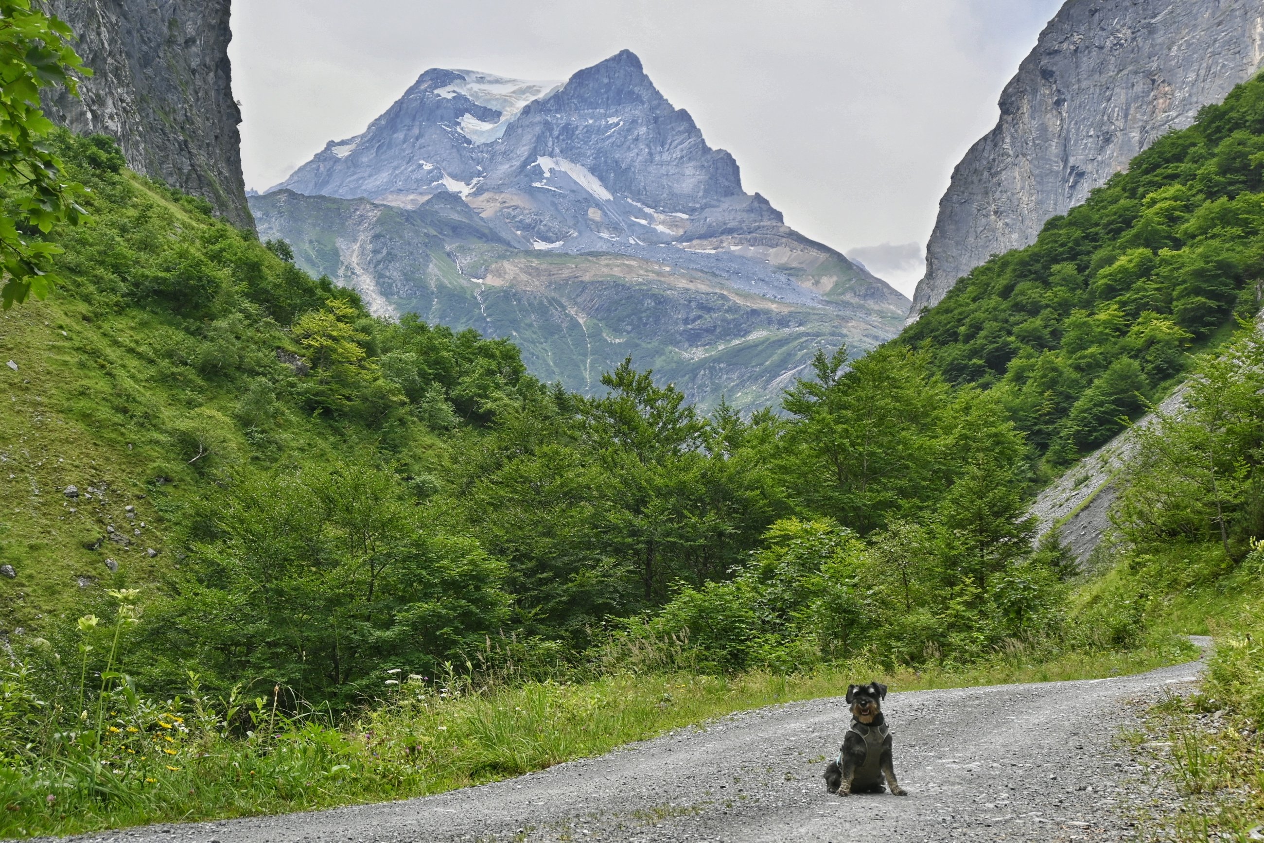 _DSC7145-01.jpeg