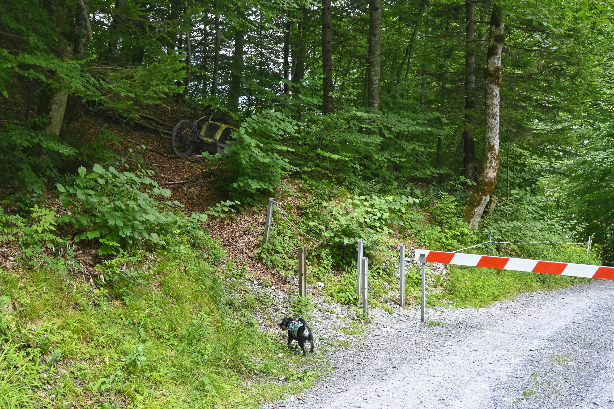 _DSC7153-01.jpeg