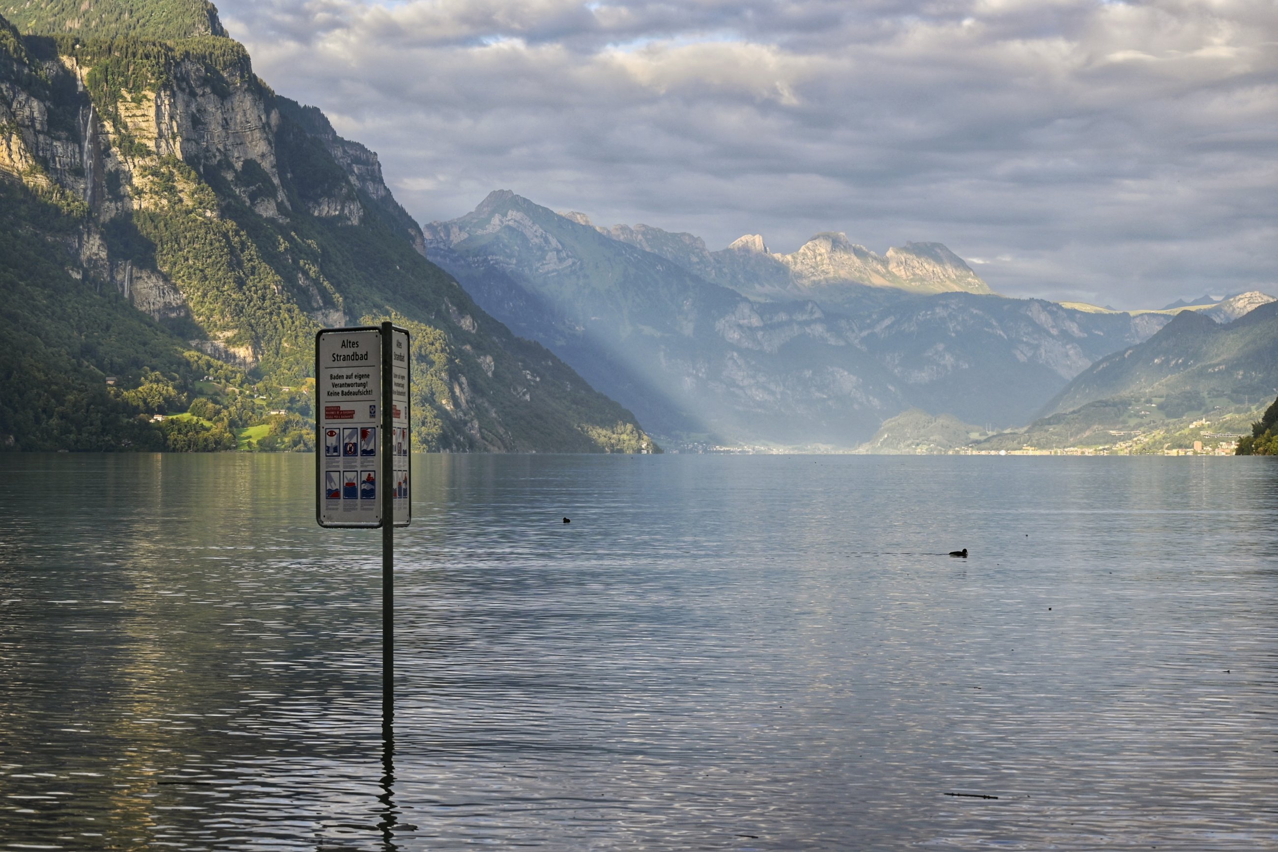 _DSC7182-01.jpeg
