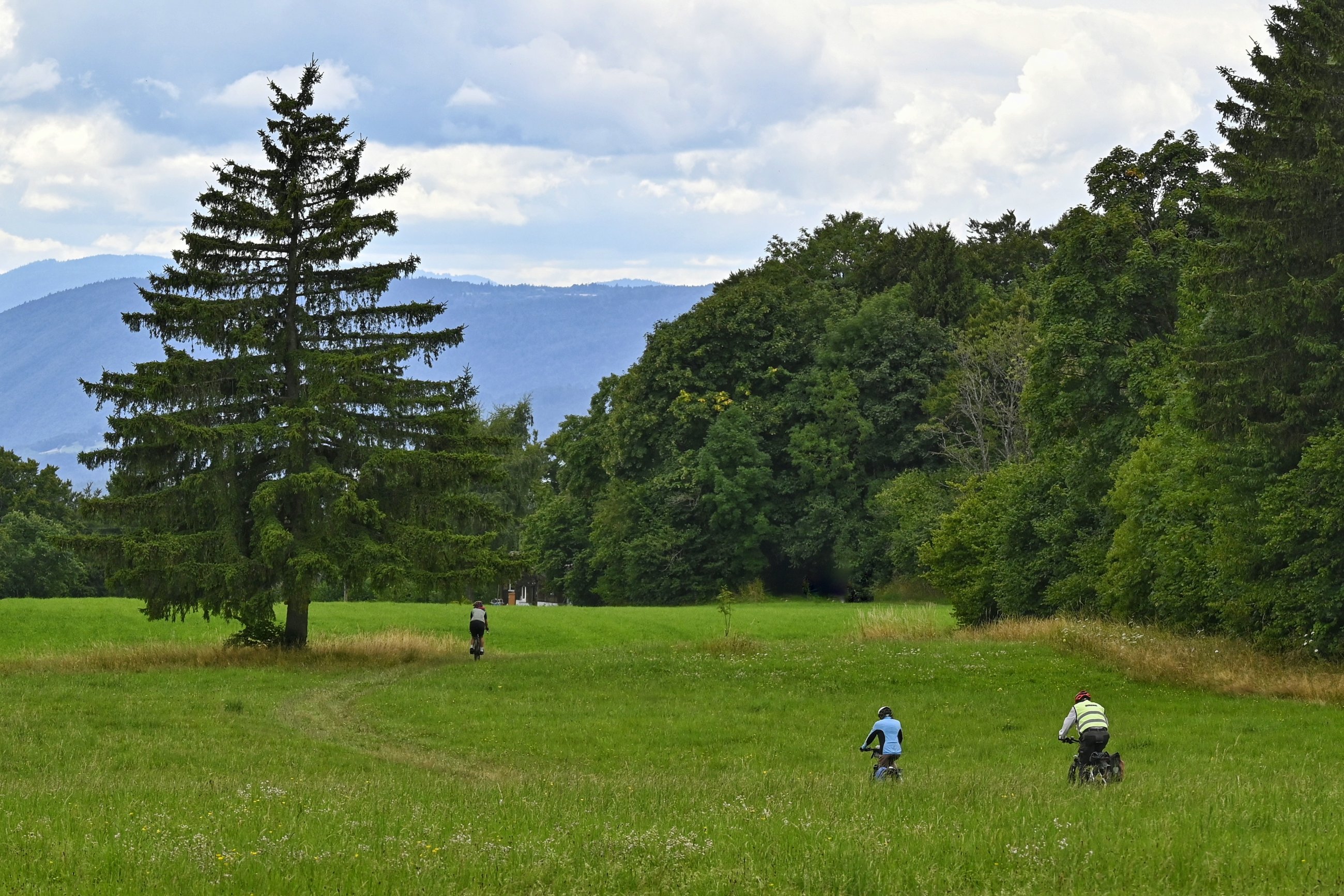 _DSC7227-01.jpeg