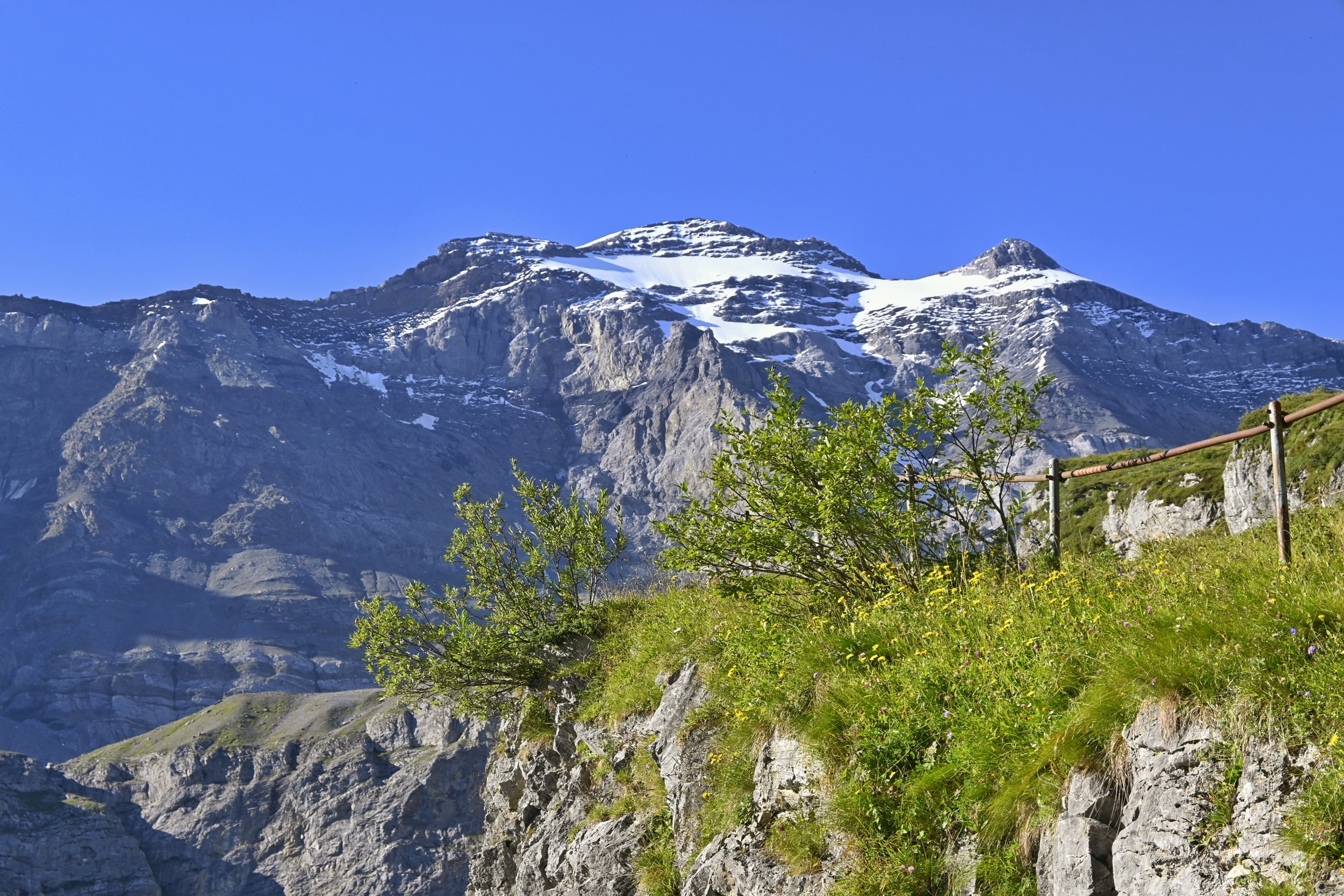 _DSC7291-01.jpeg