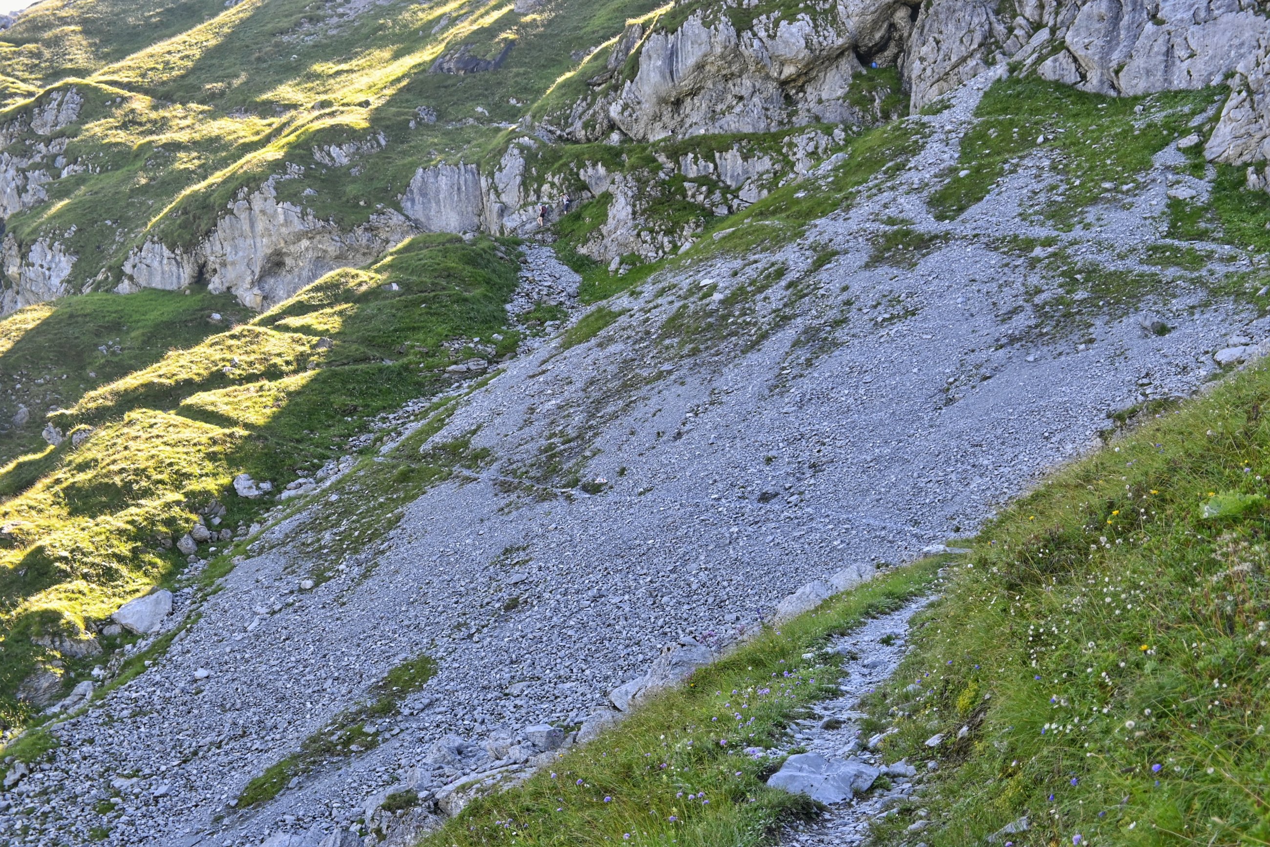 _DSC7311-01.jpeg