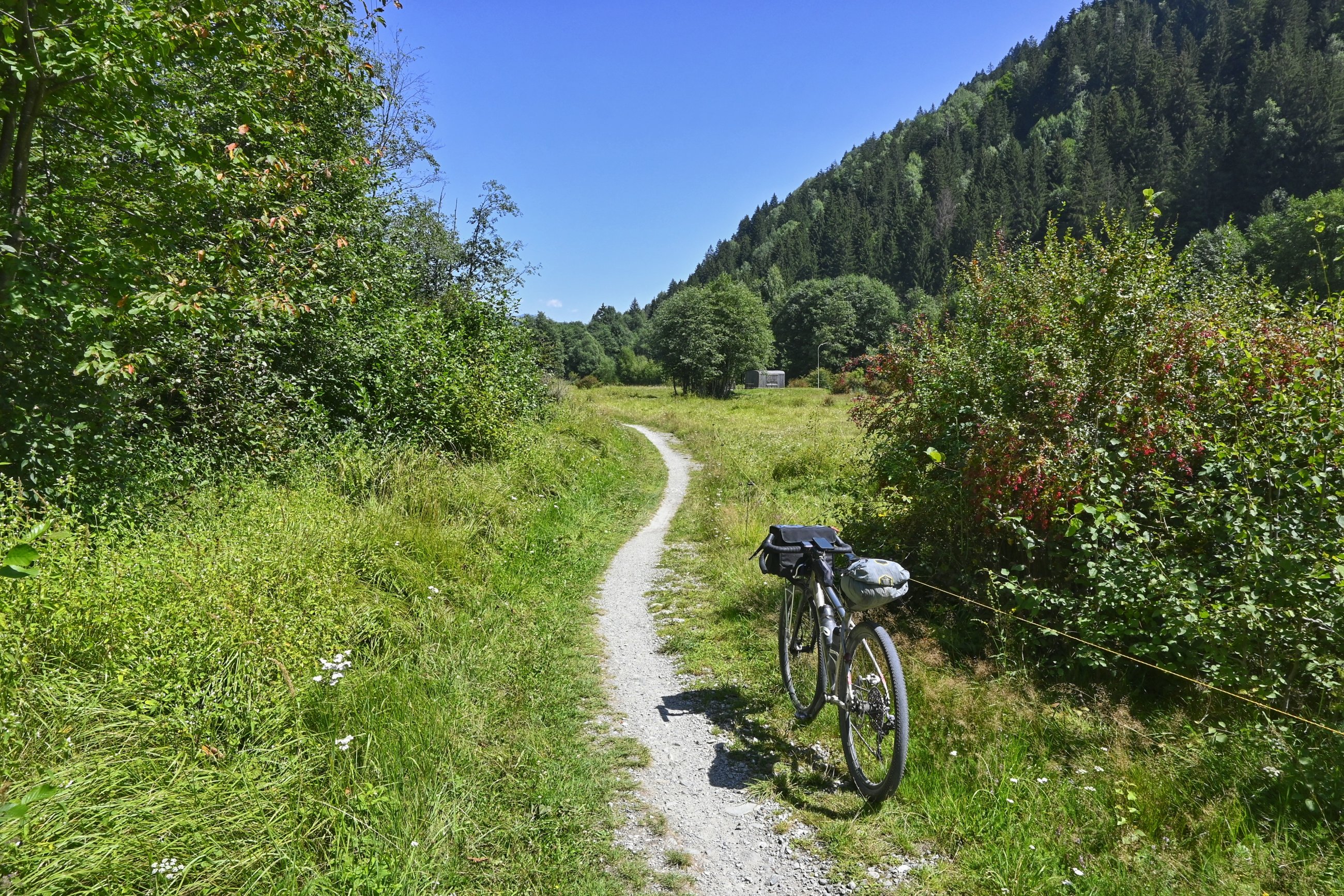 _DSC7416-01.jpeg