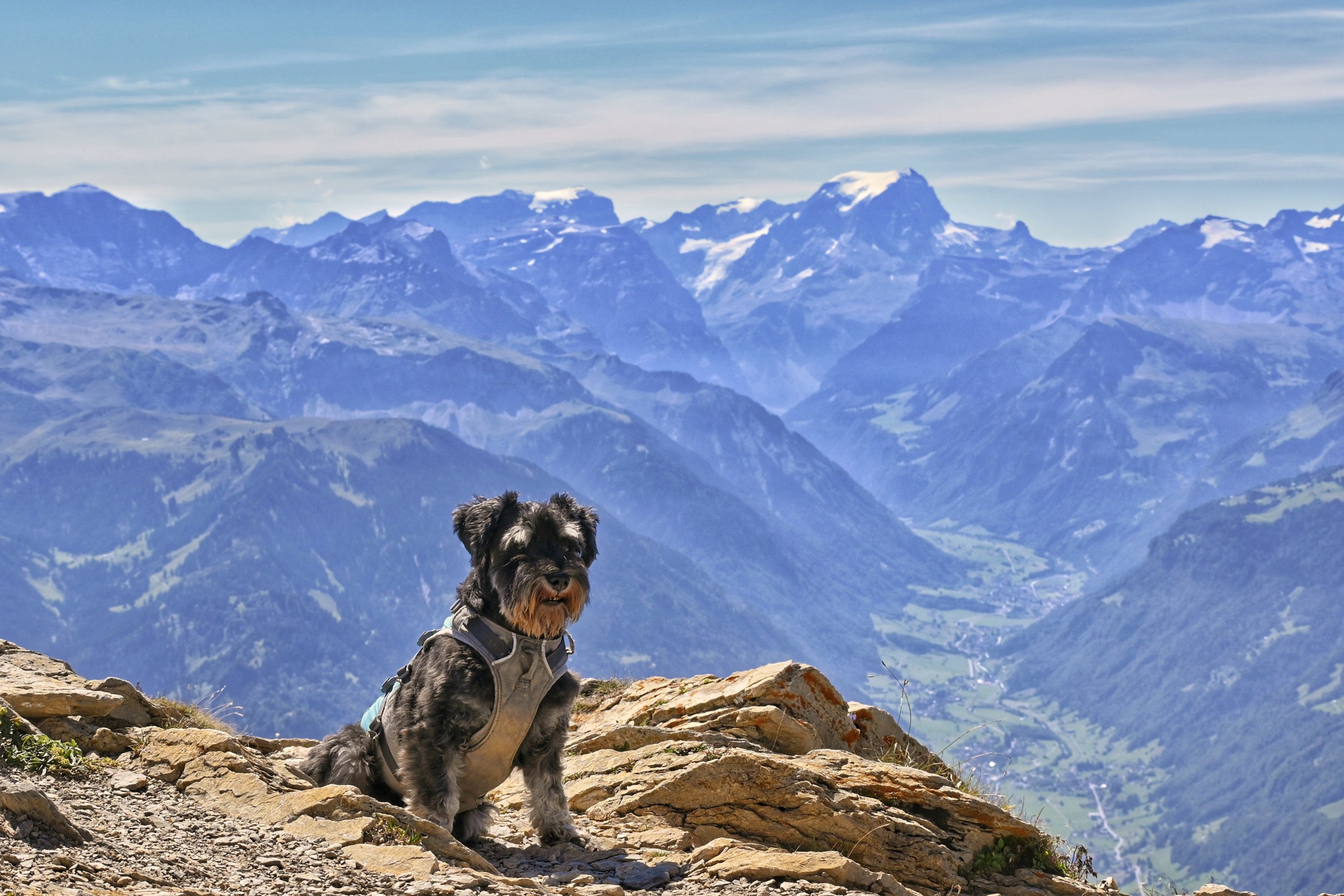 _DSC7472-01.jpeg
