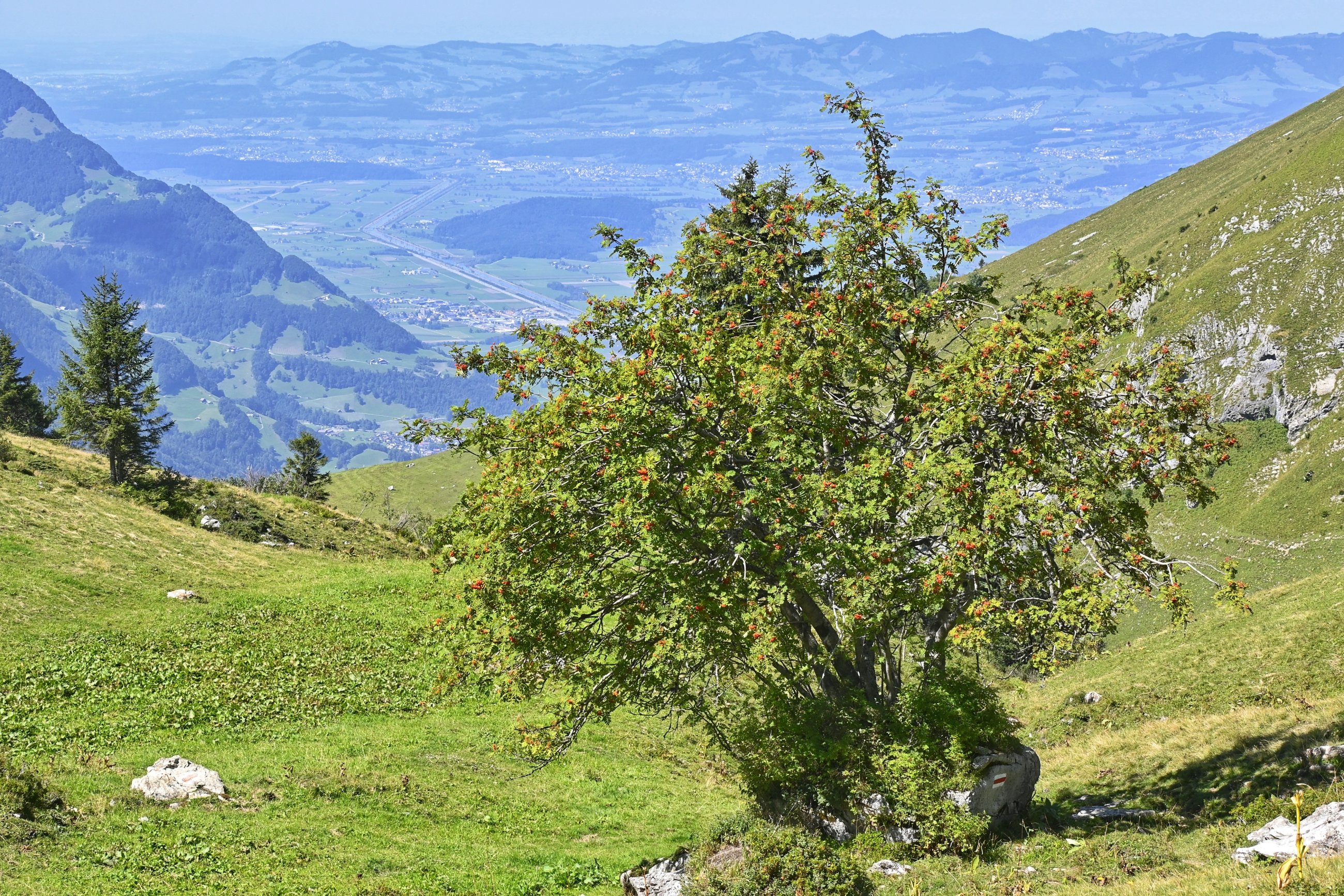 _DSC7476-01.jpeg