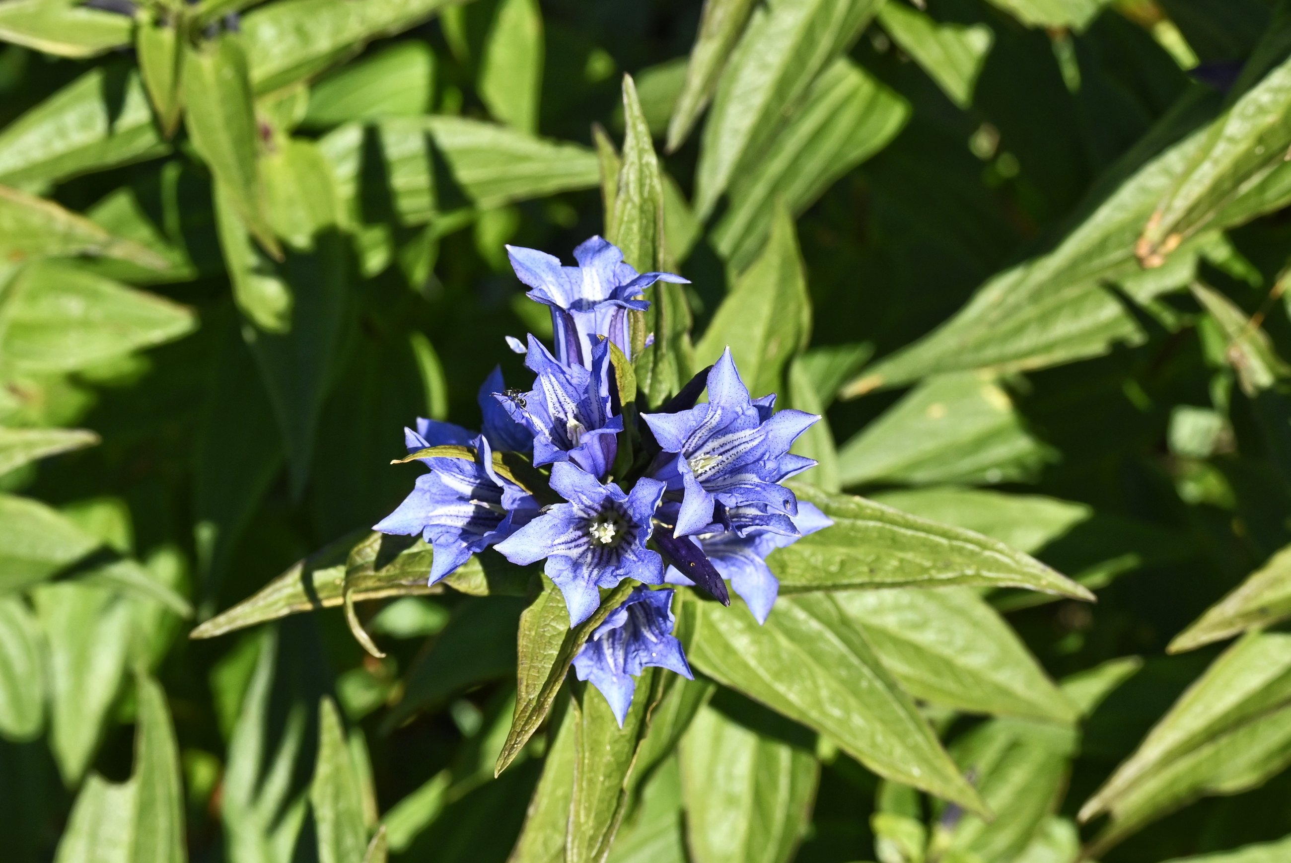 _DSC7477-01.jpeg