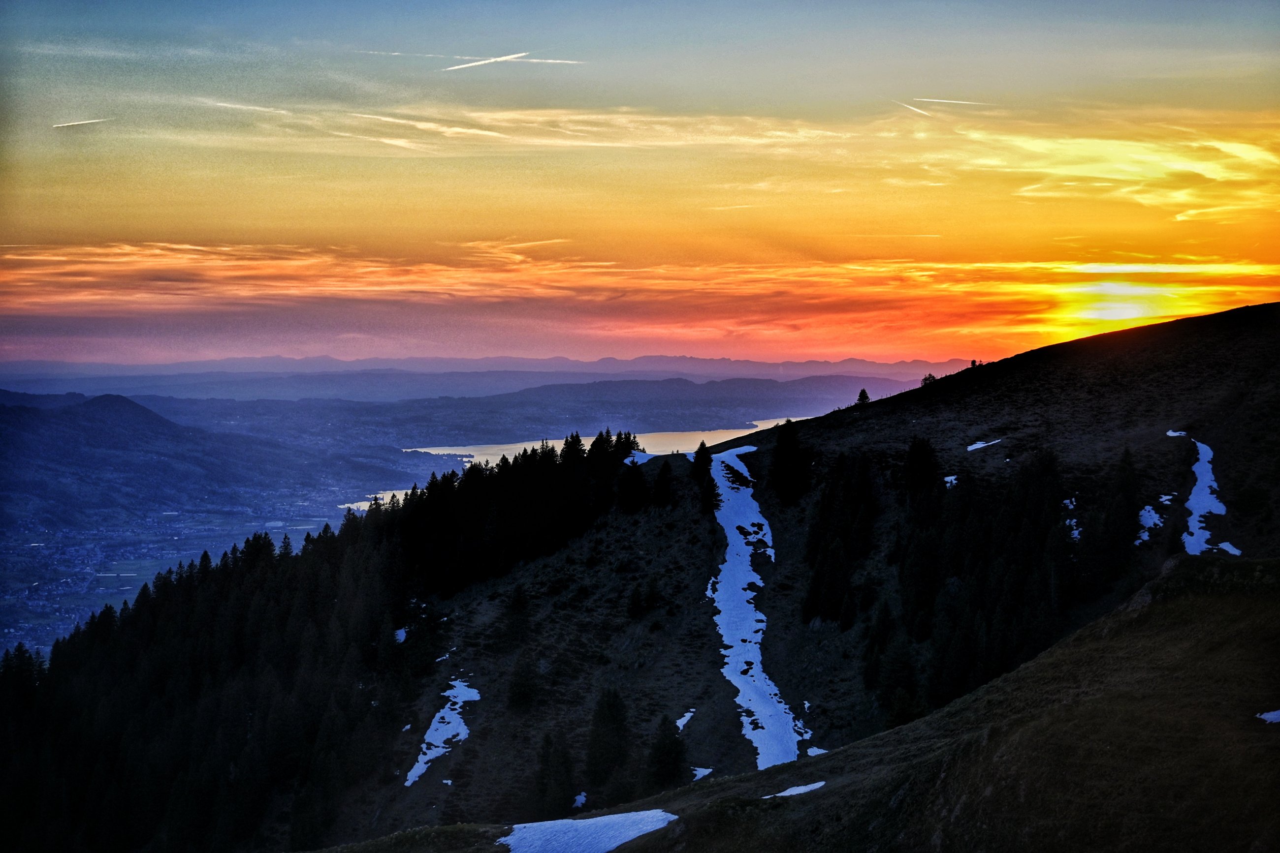 _DSC8906-01.jpeg