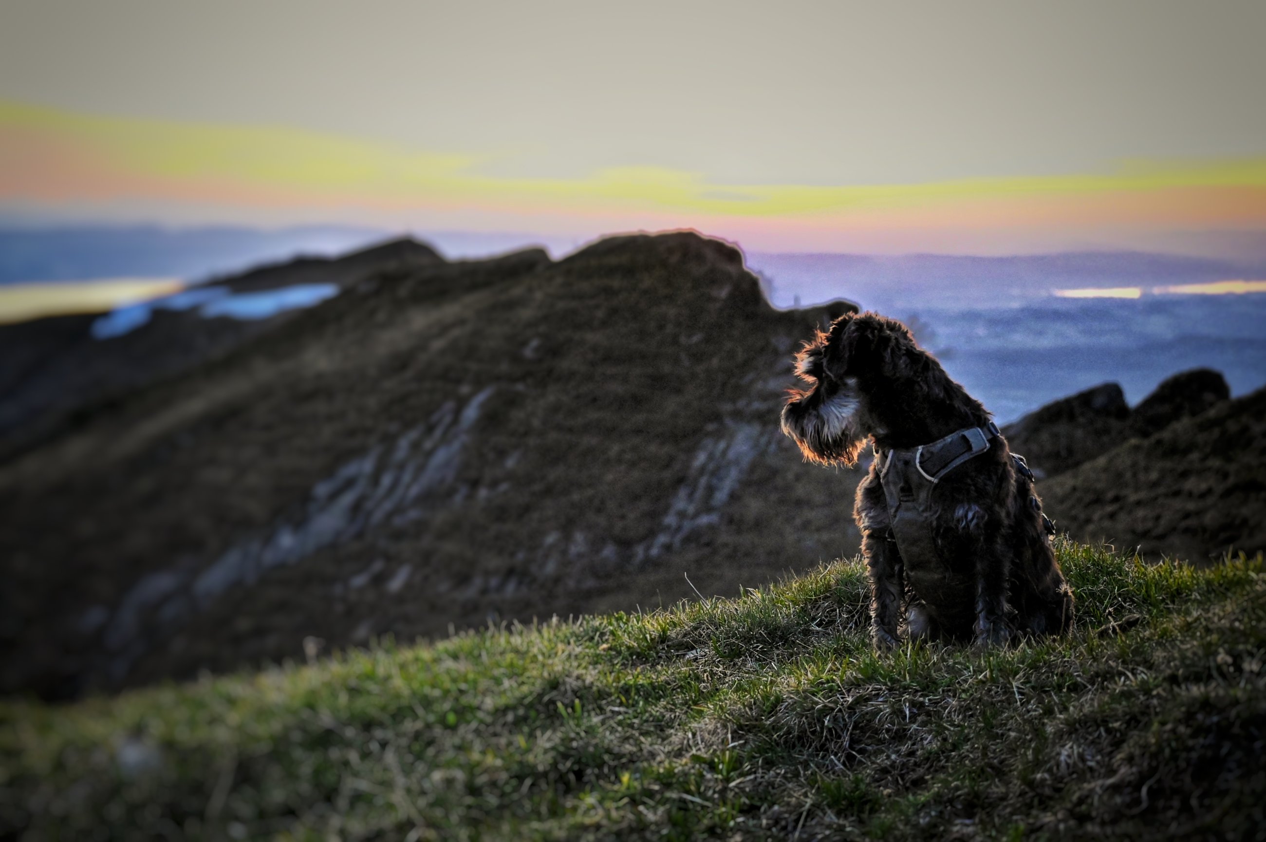 _DSC8908-01.jpeg