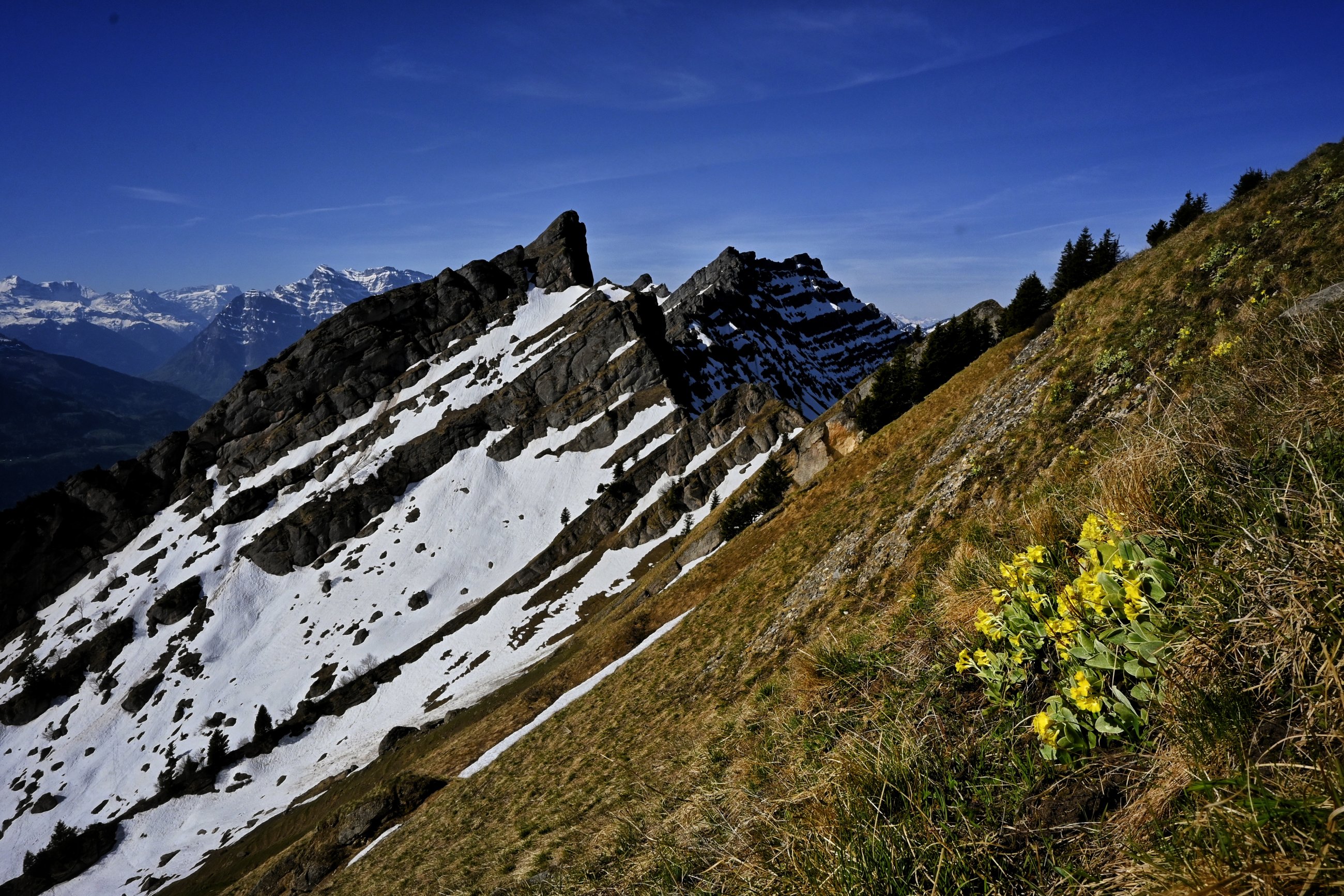 _DSC8915-01.jpeg